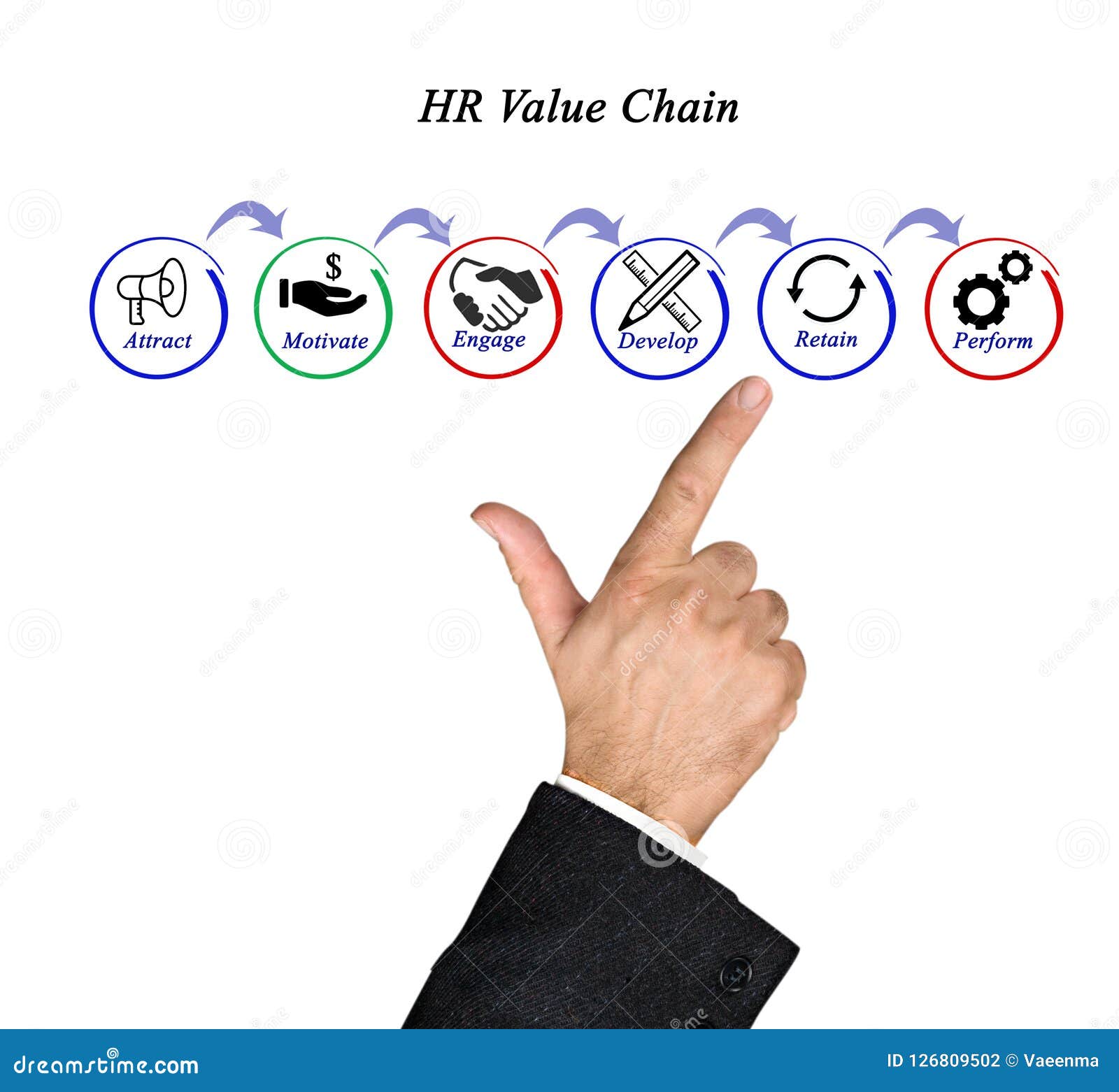 HR Value Chain stock photo. Image of salary, lecturer 126809502