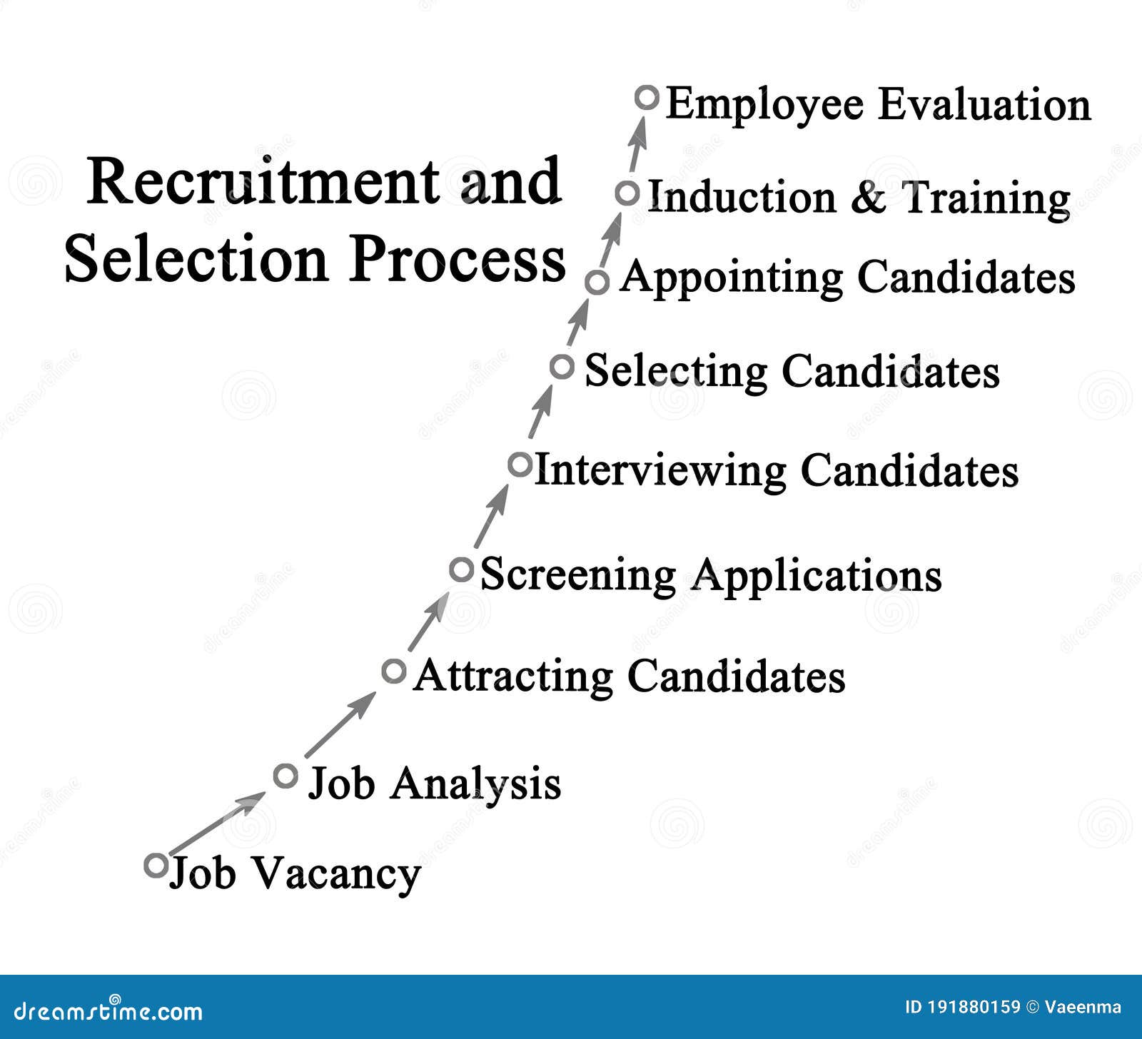 assignment on recruitment and selection