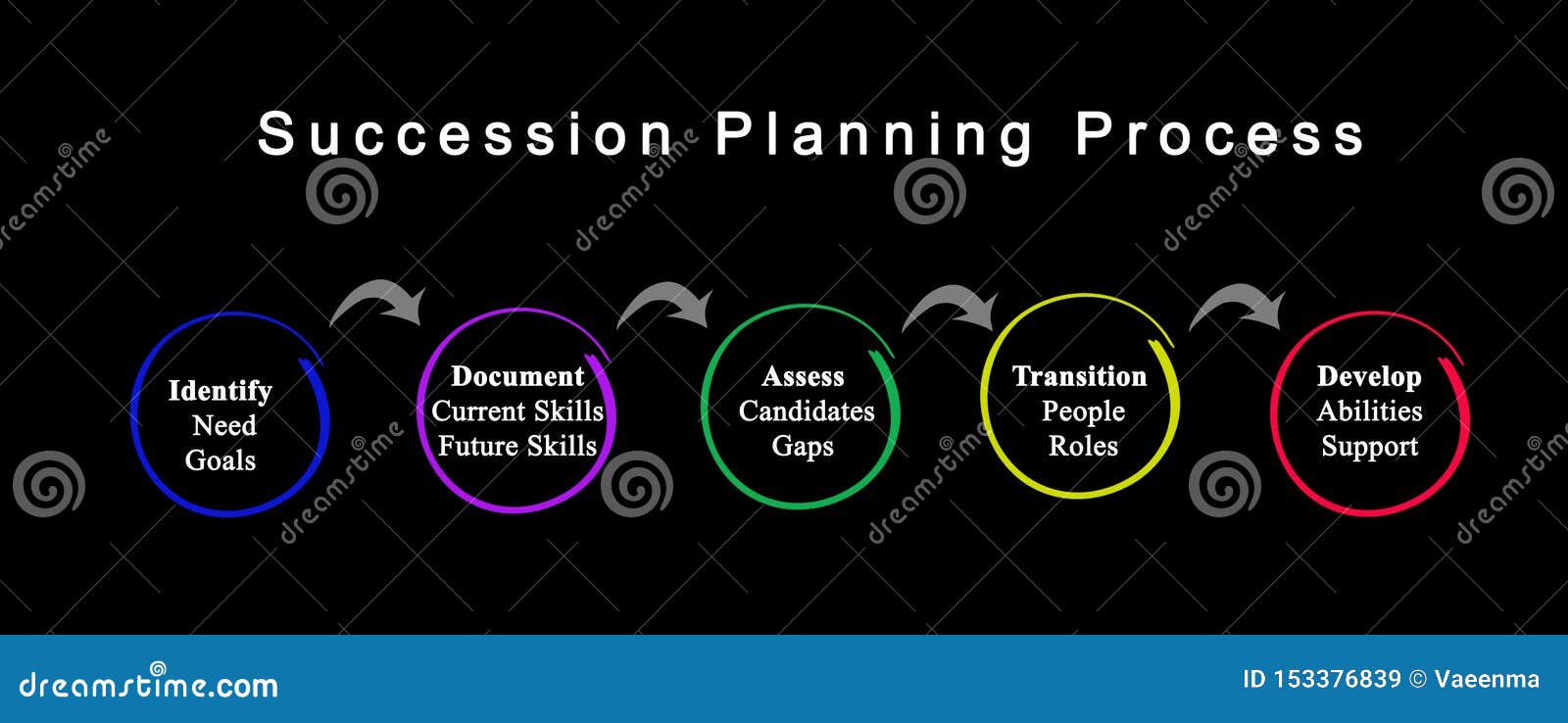 Succession Planning Process Stock Illustration - Illustration of