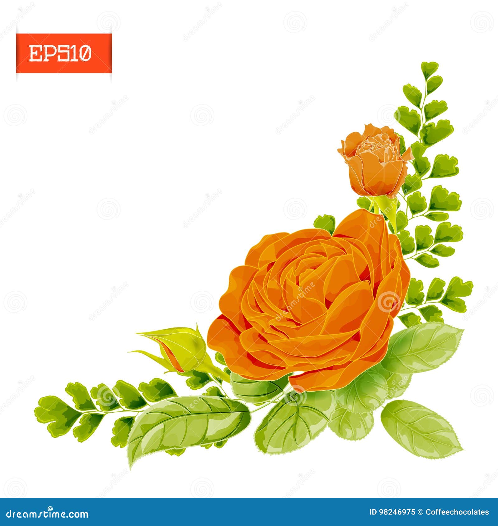 Featured image of post Flores Laranja Png / Discover 15469 free flower png images with transparent backgrounds.