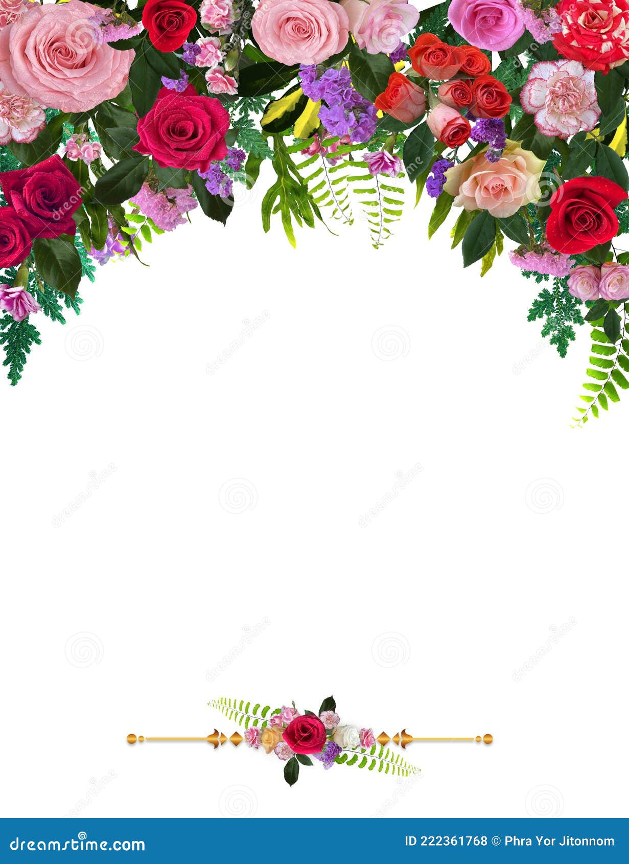 Composición De Flores De Rosas Naturales Creativas Aisladas Sobre El Fondo  Blanco Foto de archivo - Imagen de amor, flor: 222361768