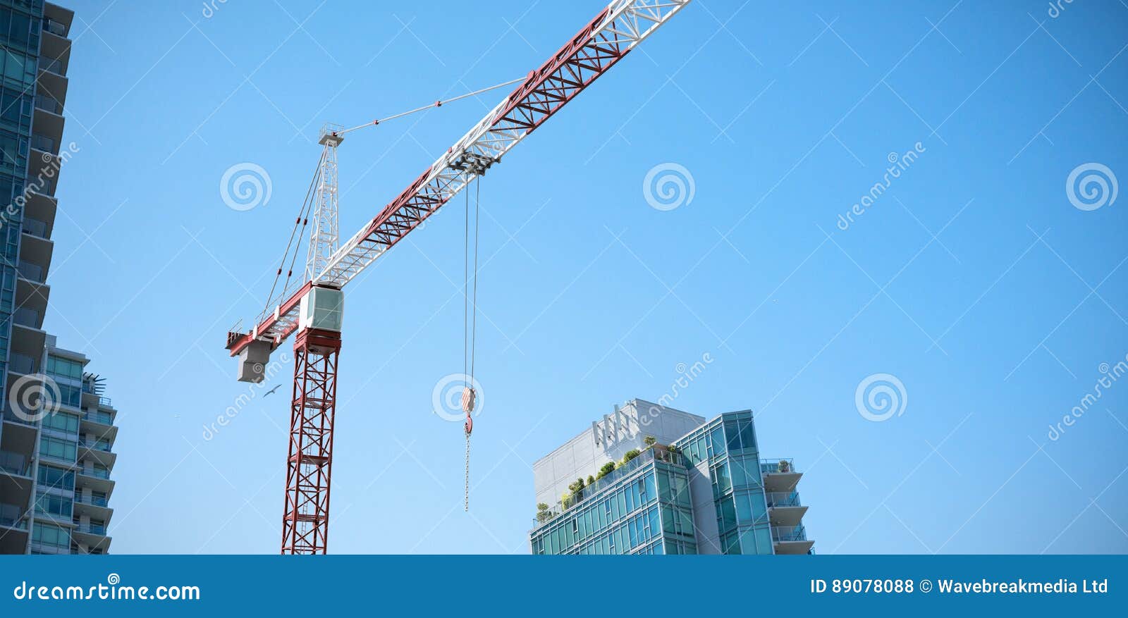 Composite Image of Studio Shoot of a Crane Stock Photo Image of green