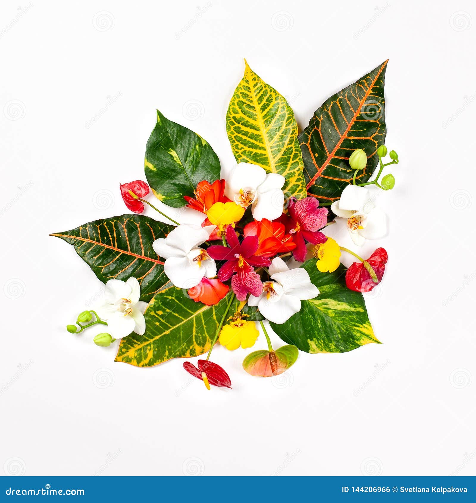 Composition Avec Les Feuilles Tropicales Fraîches Et Les Fleurs Exotiques  Sur Le Fond Blanc Photo stock - Image du jardin, bali: 144206966