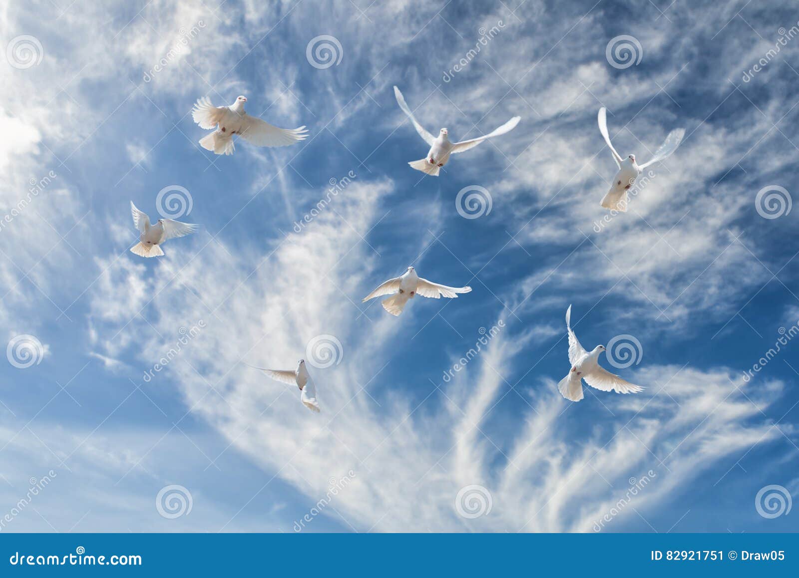 Птицы белые летели и кричали текст. Голуби в небе. Белые голуби в небе. Голуби улетели. Стая голубей в небе.