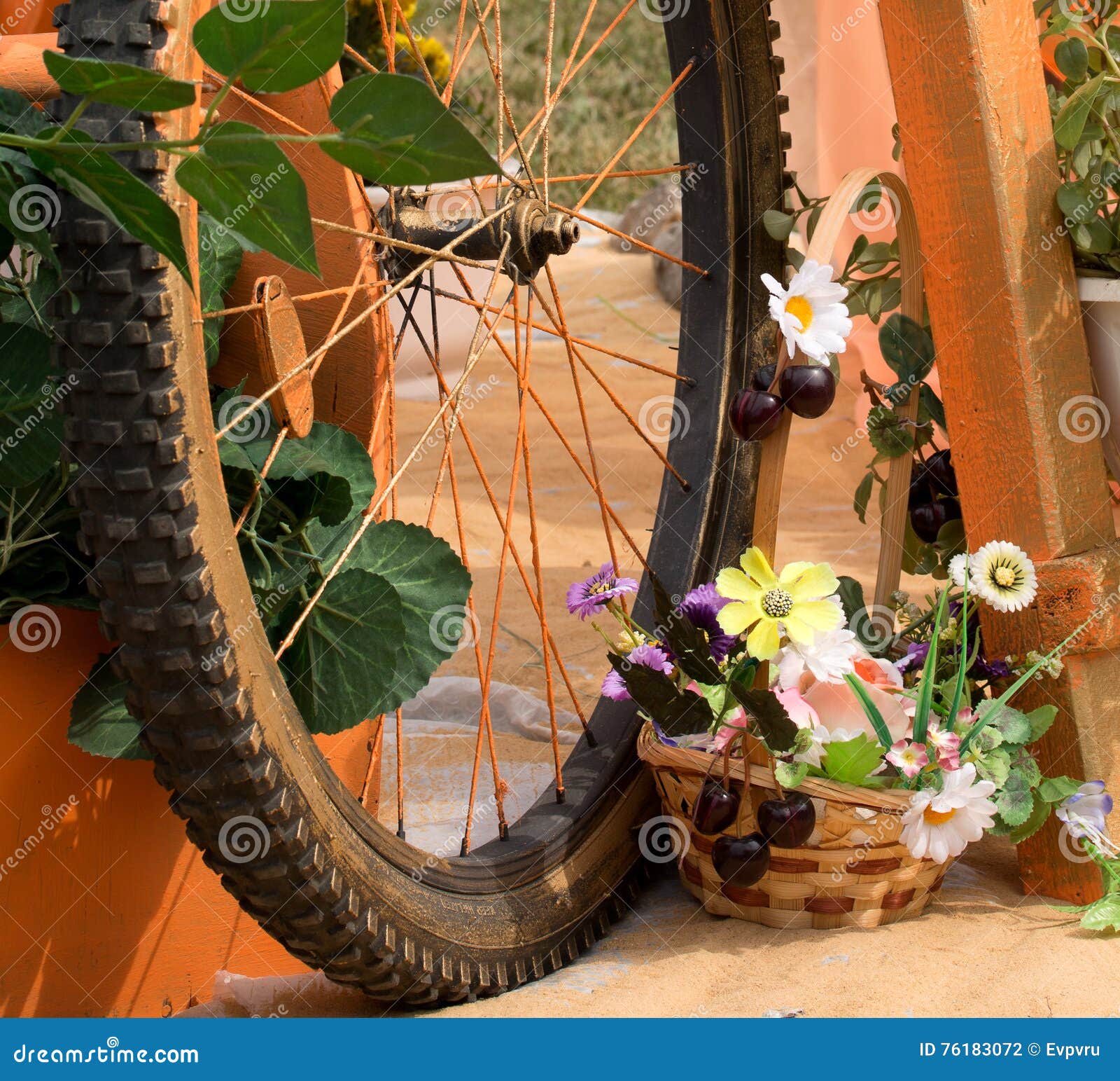 Composition of a Bicycle Wheel and Flowers Stock Photo Image of green