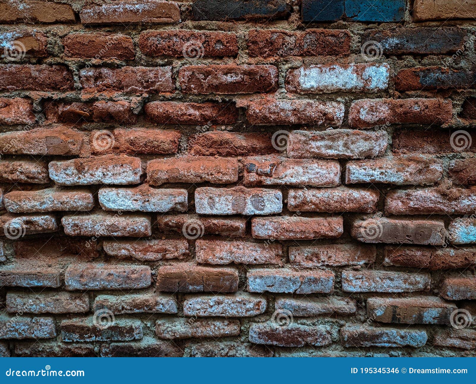 The Composition of the Bricks that Had Begun To Brittle Stock