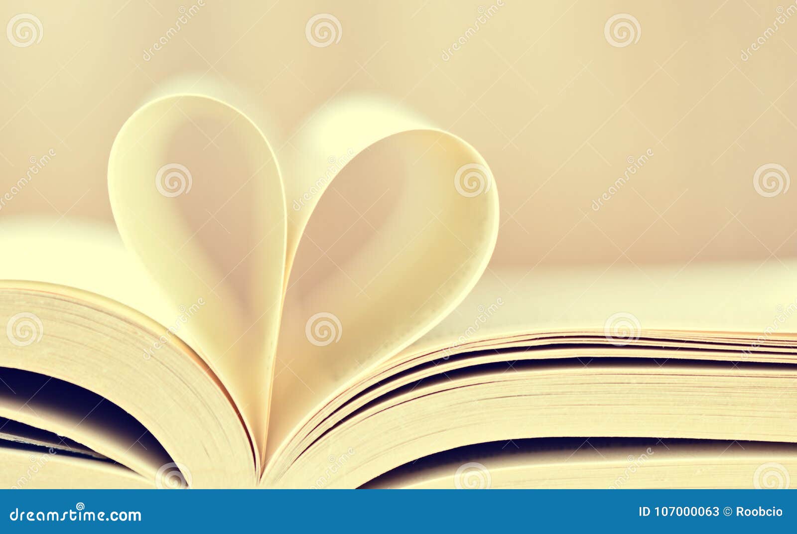 Composition De L Amour Avec Le Coeur Ouvert De Livre Image Stock Image Du Composition Coeur Composition De L Amour Avec Le Coeur Ouvert De Livre Image Stock Image Du Composition Coeur