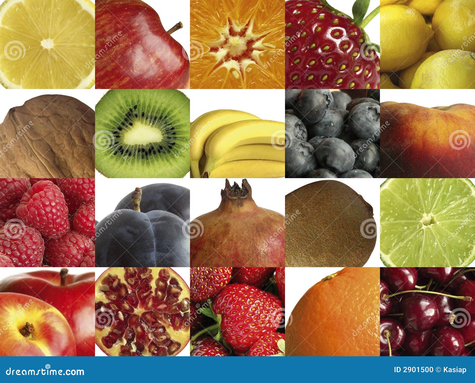 clipart of different fruits - photo #42