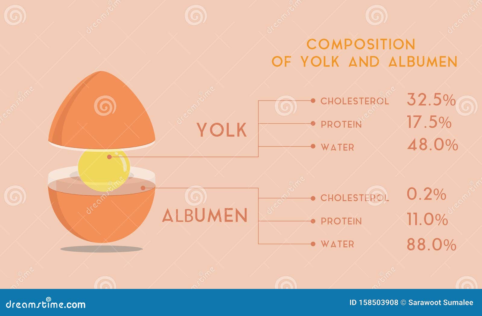 Yolks Cartoons Illustrations Vector Stock Images 580 Pictures To yolks-cartoons-illustrations-vector-stock-images-580-pictures-to