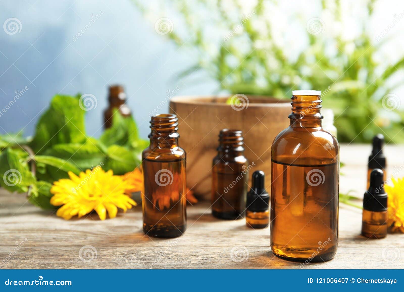 Composition with Essential Oils and Plants Stock Image Image of fresh, ingredient 121006407
