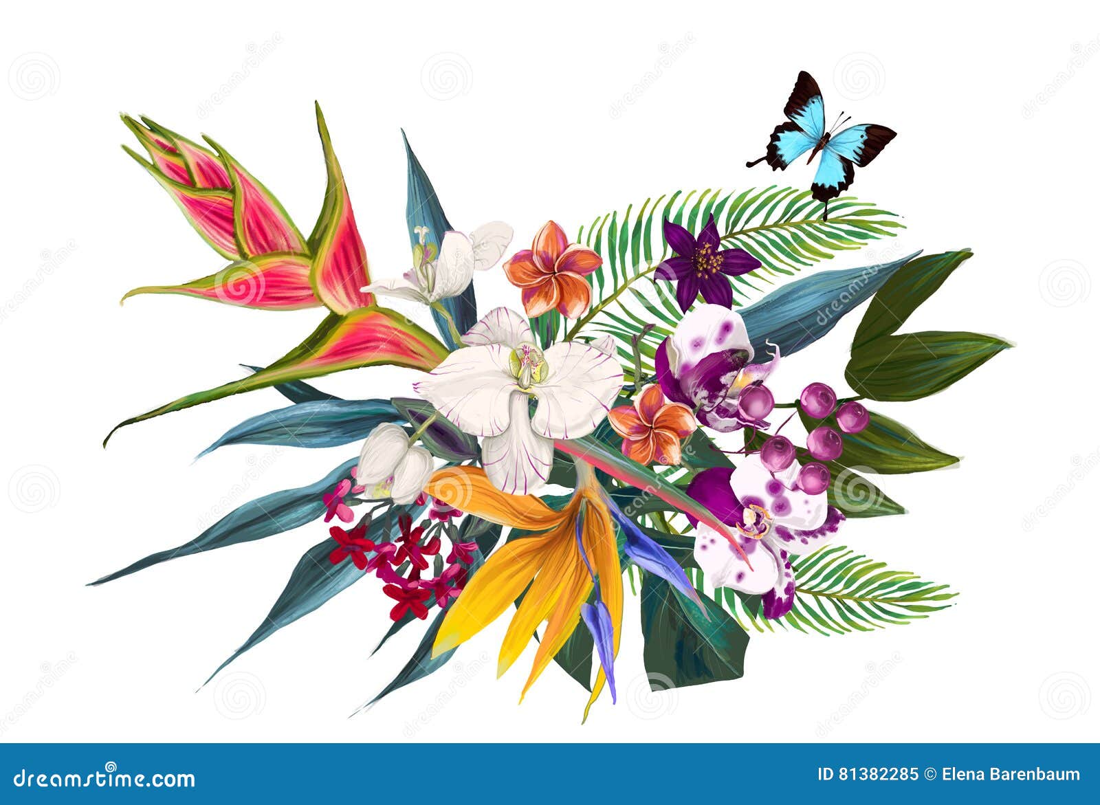 Composition Florale Exotique Illustration Stock - Illustration du abstrait,  floral: 81382285