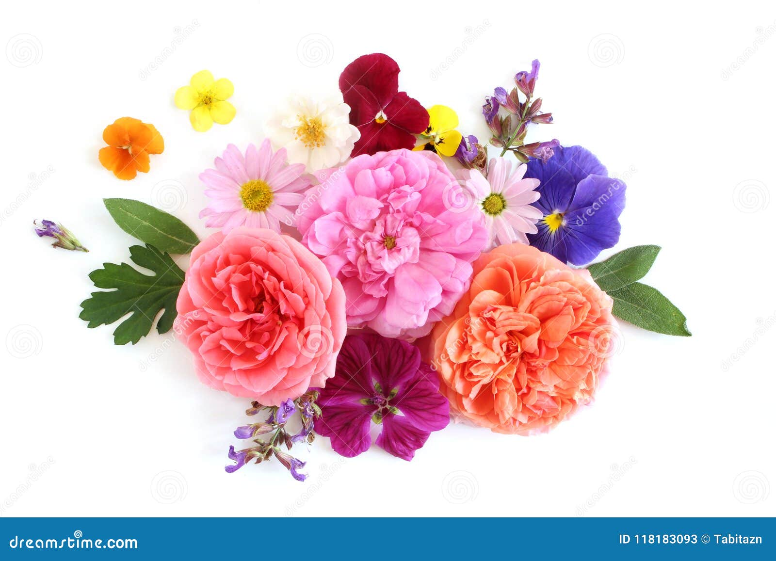 Composition Florale Féminine Bouquet De Fleurs Et D'herbes Comestibles  Sauvages Et De Jardin Vieilles Roses, Sauge, Pensée, Margu Image stock -  Image du mangeable, marguerite: 118183093