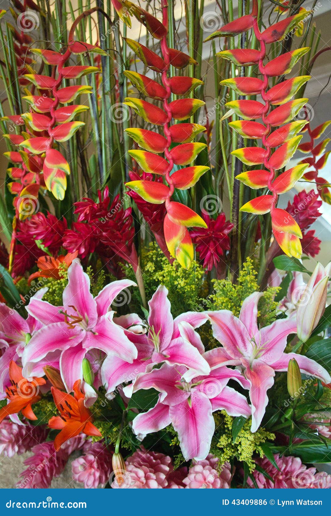 Photos de Composition Florale Tropicale - Photos de stock gratuites et  libres de droits de Dreamstime