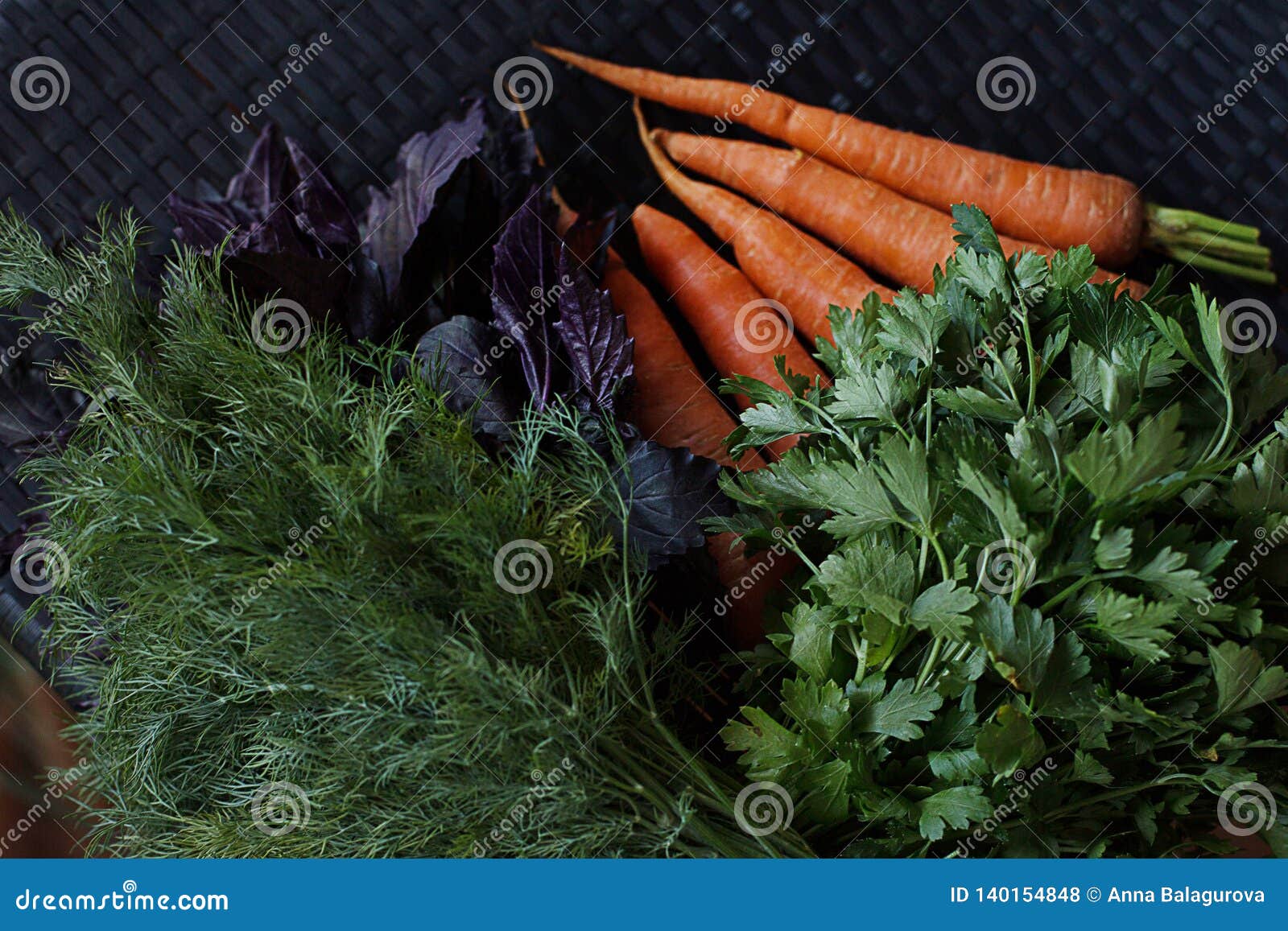 Composition of Fresh Herbs and Carrots. Dill, Parsley, Basil Stock