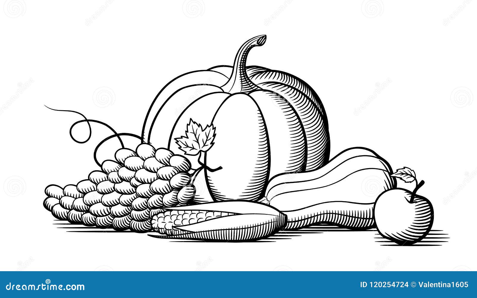 Hand drawn sketch whole eggplants composition with leaves. Illustration  isolated on white background. Farm fresh ecological vegetables artwork.  20547427 Vector Art at Vecteezy