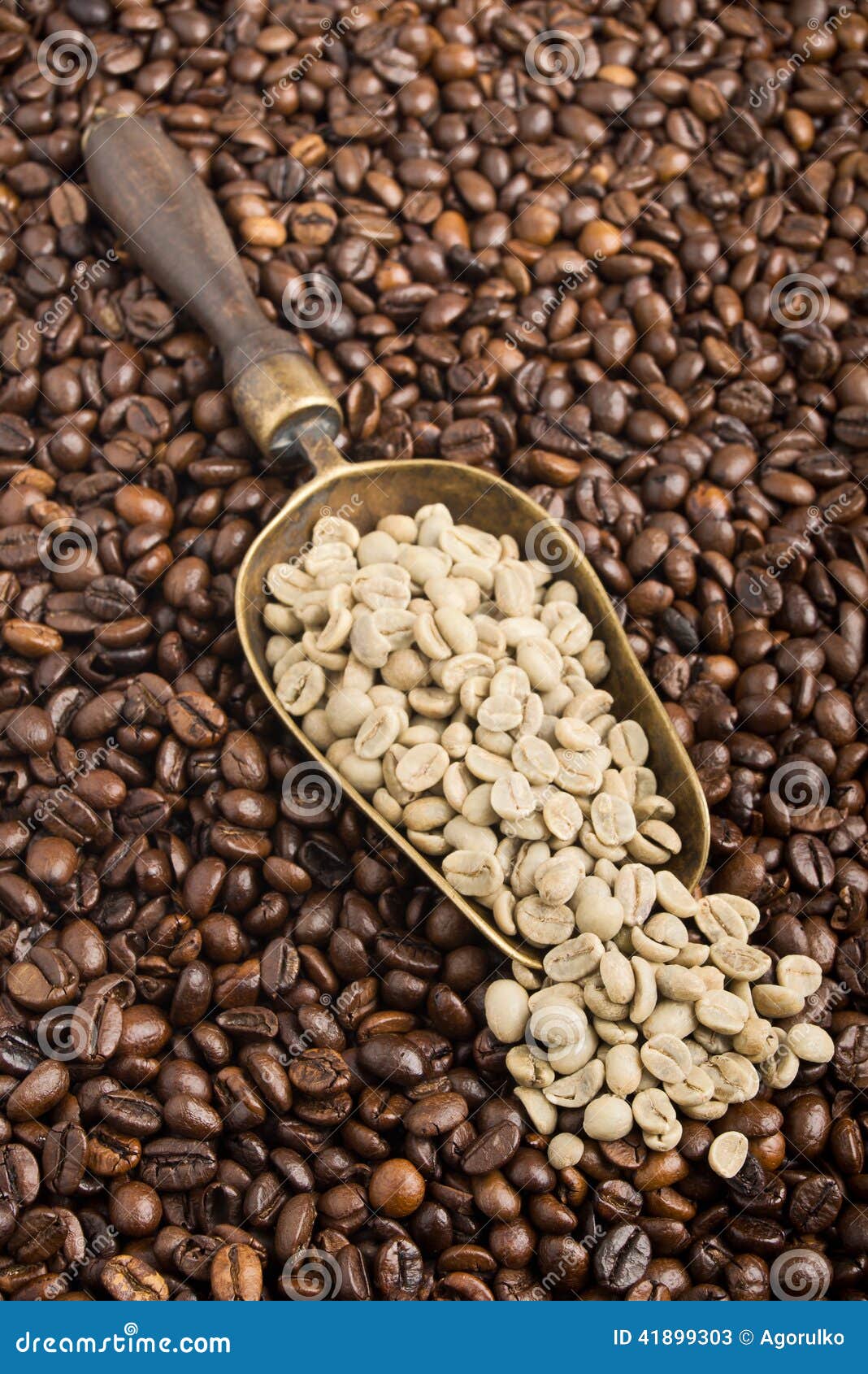 Composition with Green and Roasted Coffee Beans Stock Image Image of