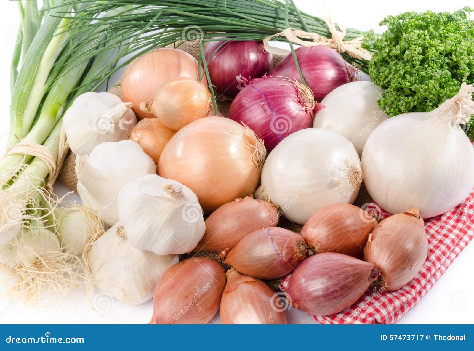 Composition with Onions, Garlic and Shallots Stock Image Image of