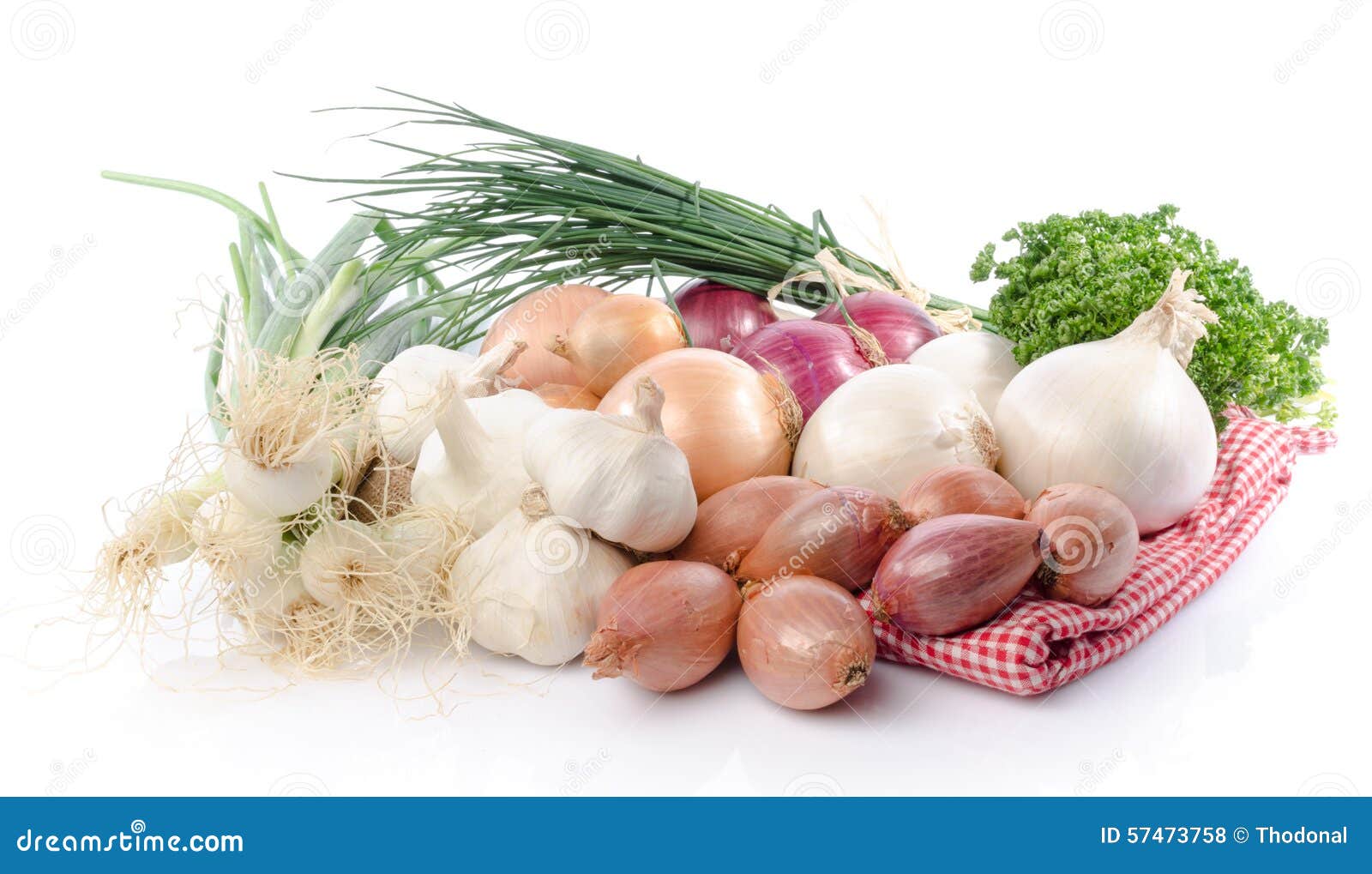Composition with Onions, Garlic and Shallots Stock Photo Image of