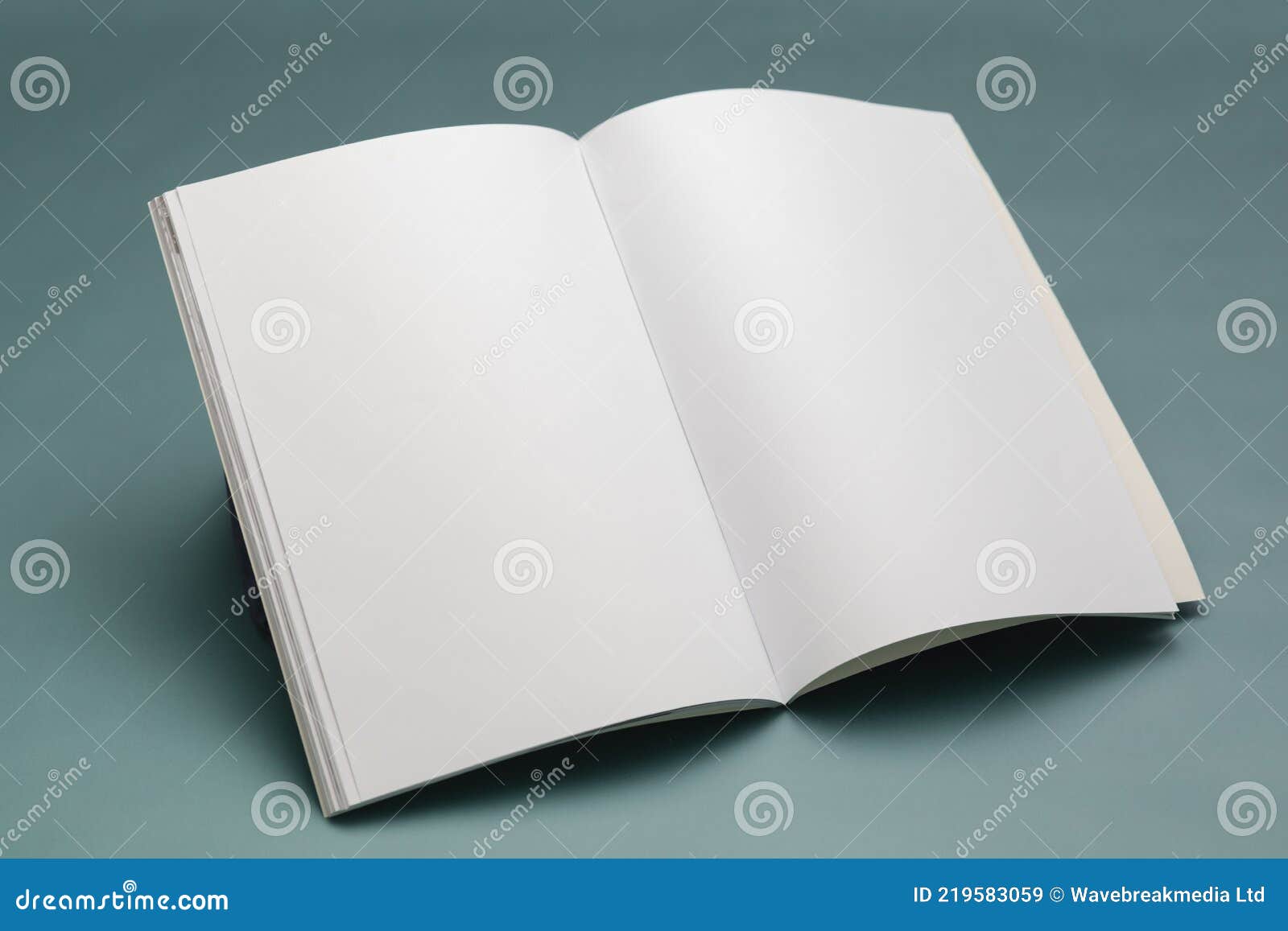 Composition Of Opened Book With Blank Pages On Blue Background Stock Image  - Image Of Note, Space: 219583059