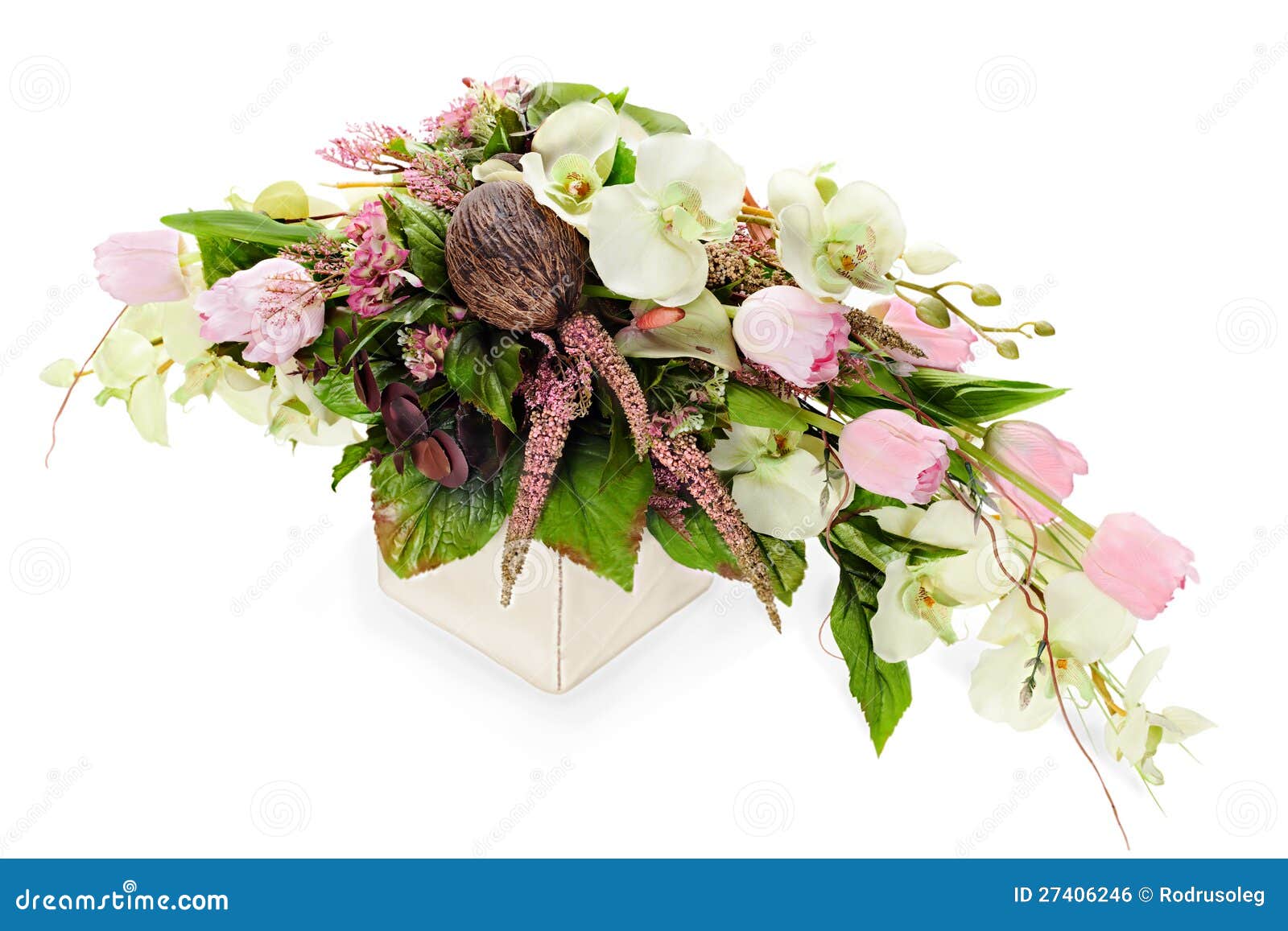 Composition from Orchids, Tulips,coconut, Rocks Stock Photo - Image of ...