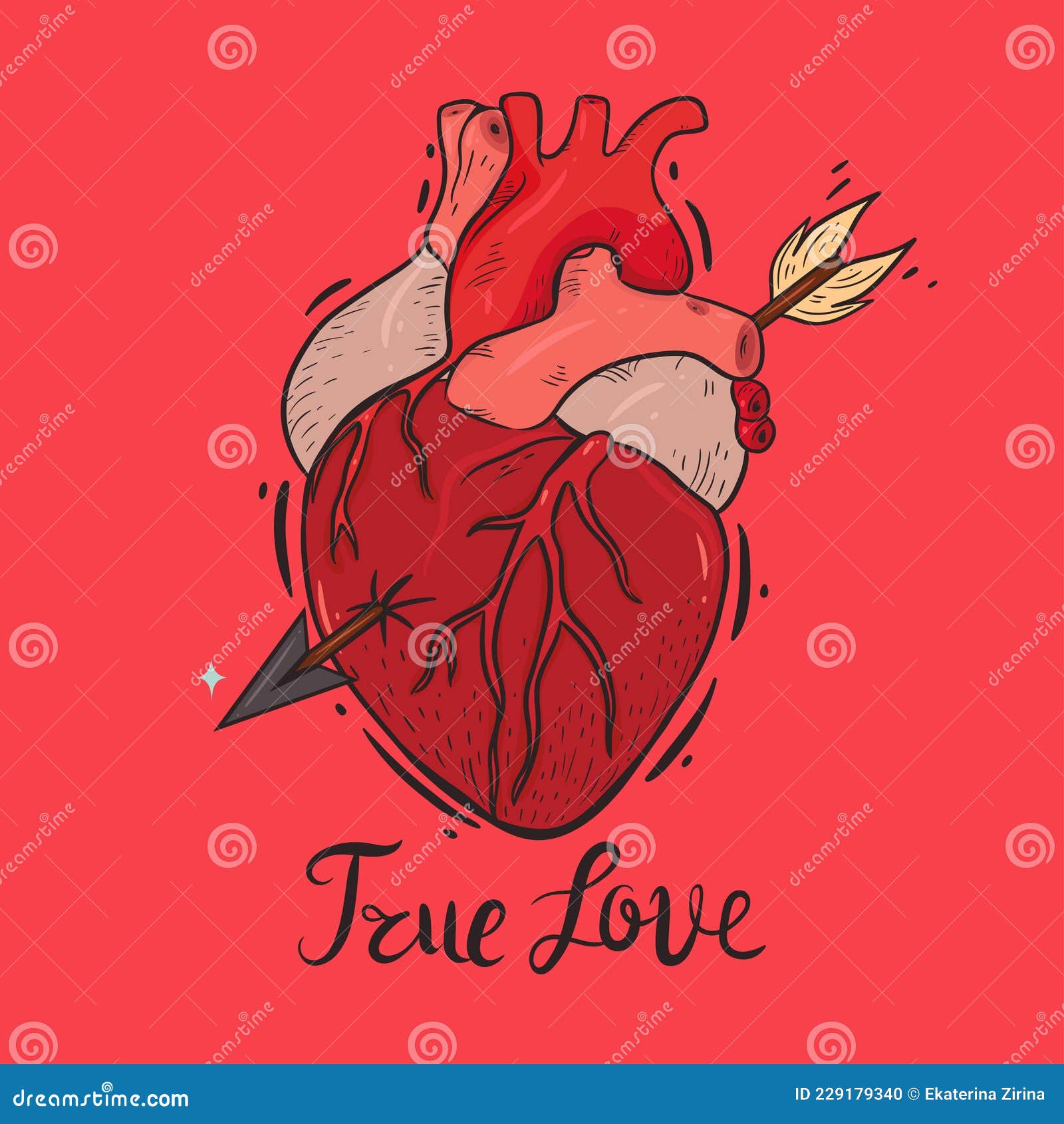 True Love Vector Art & Graphics