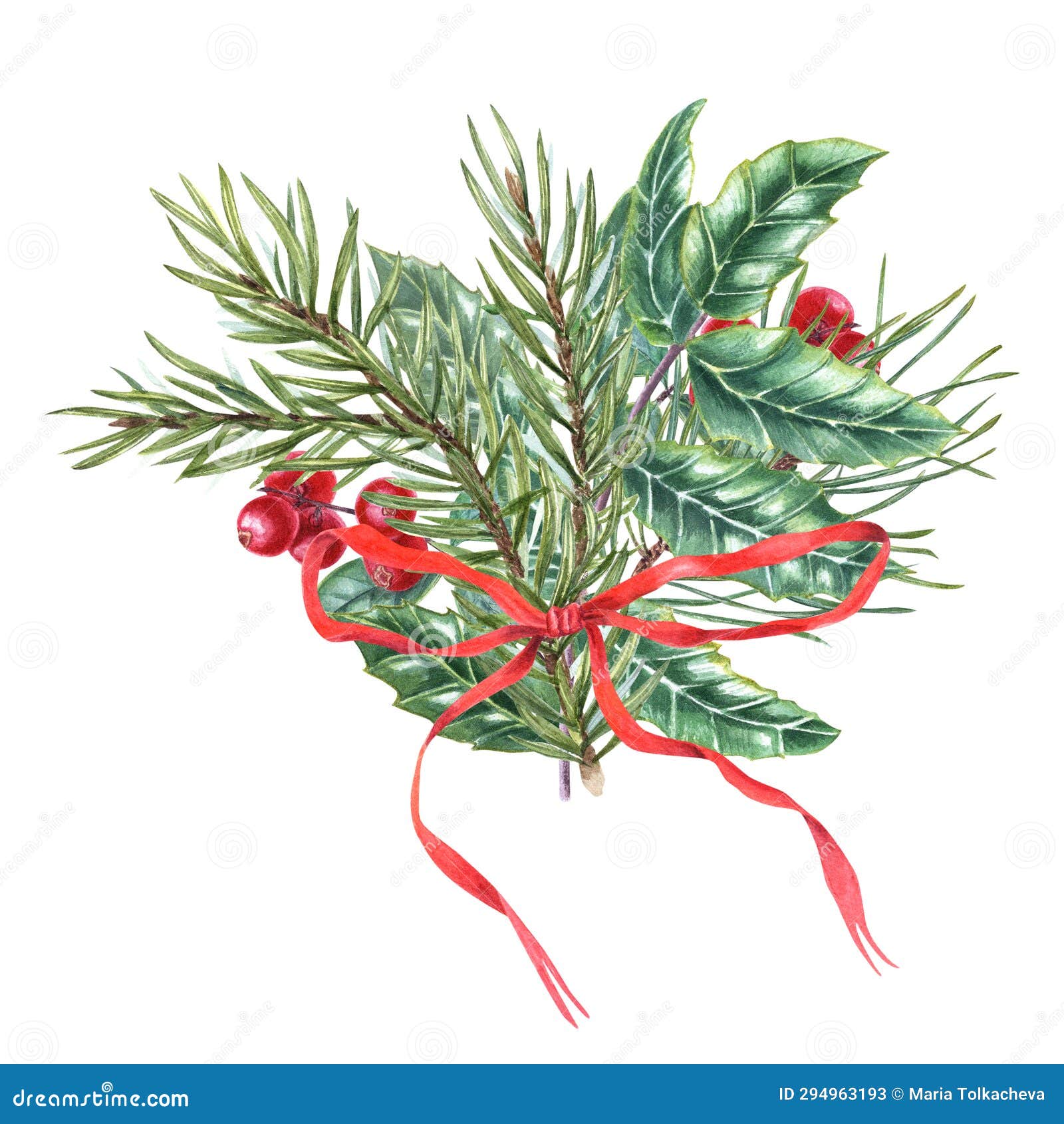 composition of pine, spruce branches, holly leaves with bright berries, lingonberry. winter bouquet decorated red bow. watercolor