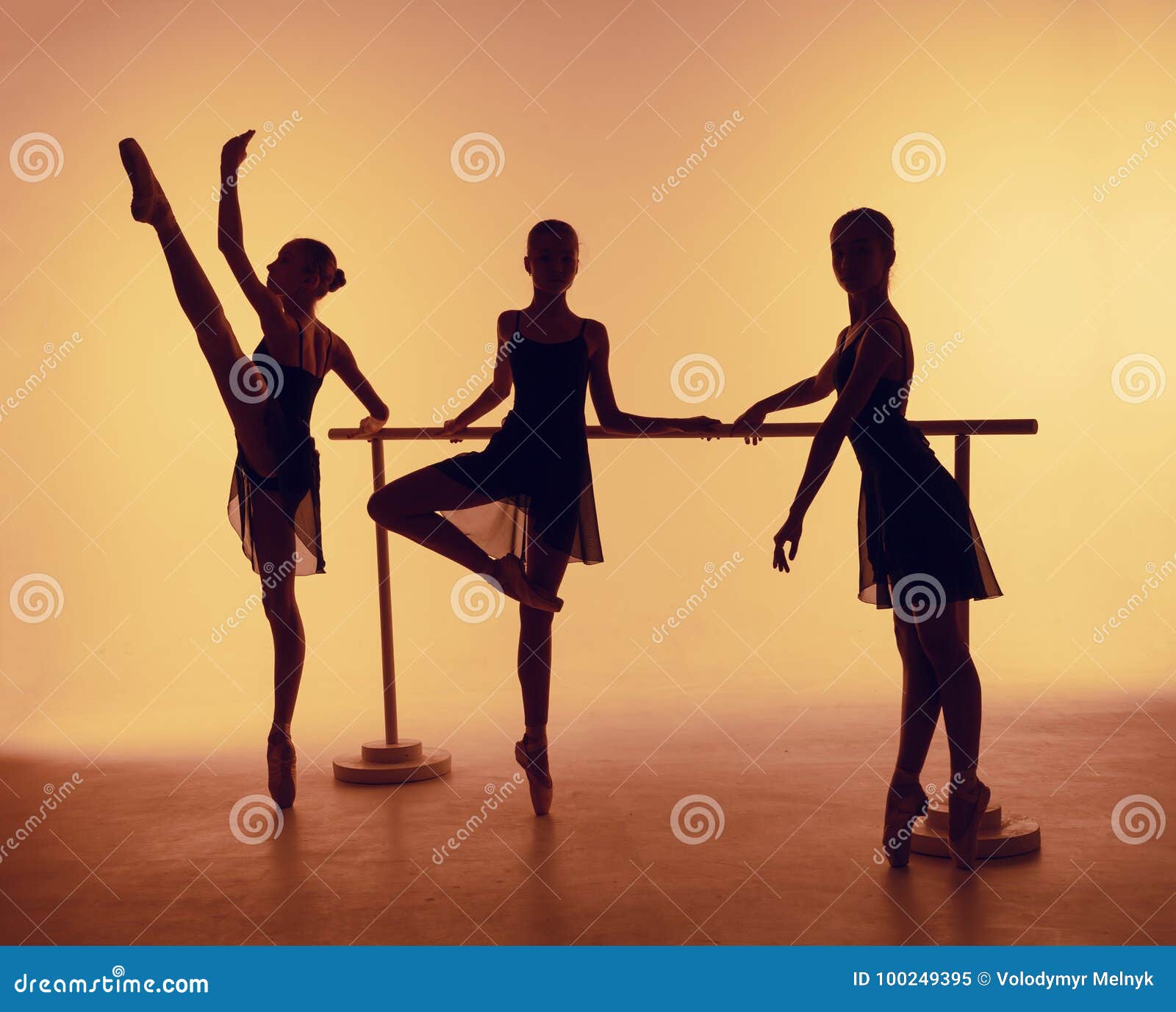 2,042 Ballet Poses Stock Photos - Free & Royalty-Free Stock Photos from  Dreamstime