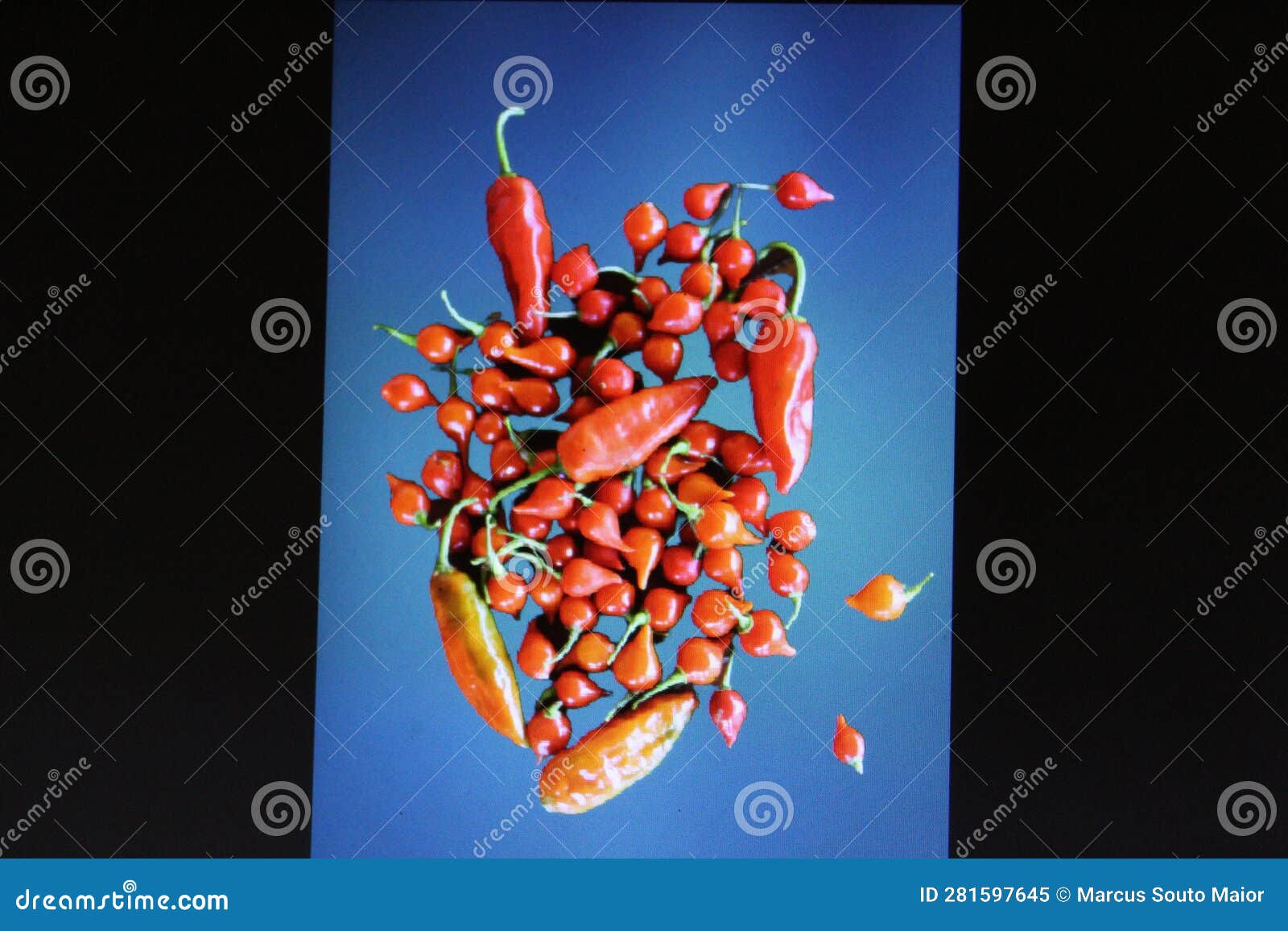 composition for two types of pepper, girl's finger and pepper