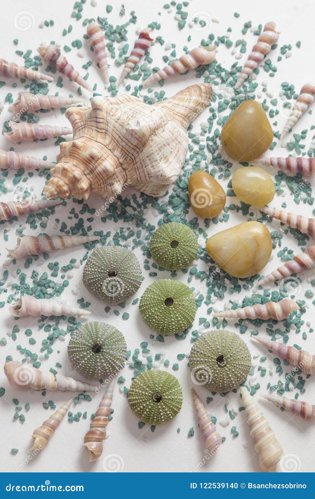 Composizione Con Le Conchiglie E Le Pietre Colorate Impatto Di Colore Fotografia Stock Immagine Di Conch Spiaggia