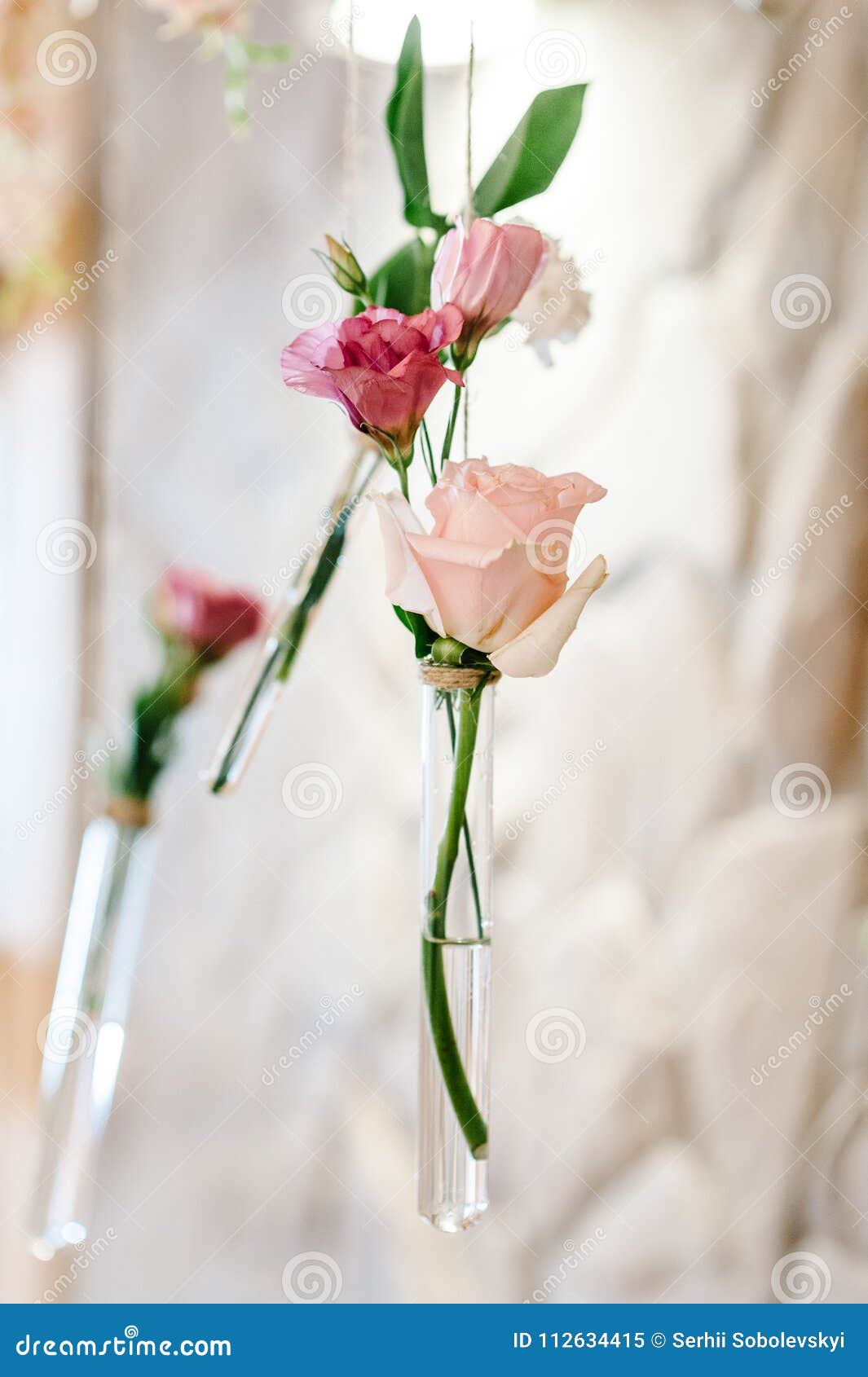 Composizione Dei Fiori Viola E Rosa Pianta In Vasi Di Vetro Immagine Stock Immagine Di Vetro Cotone