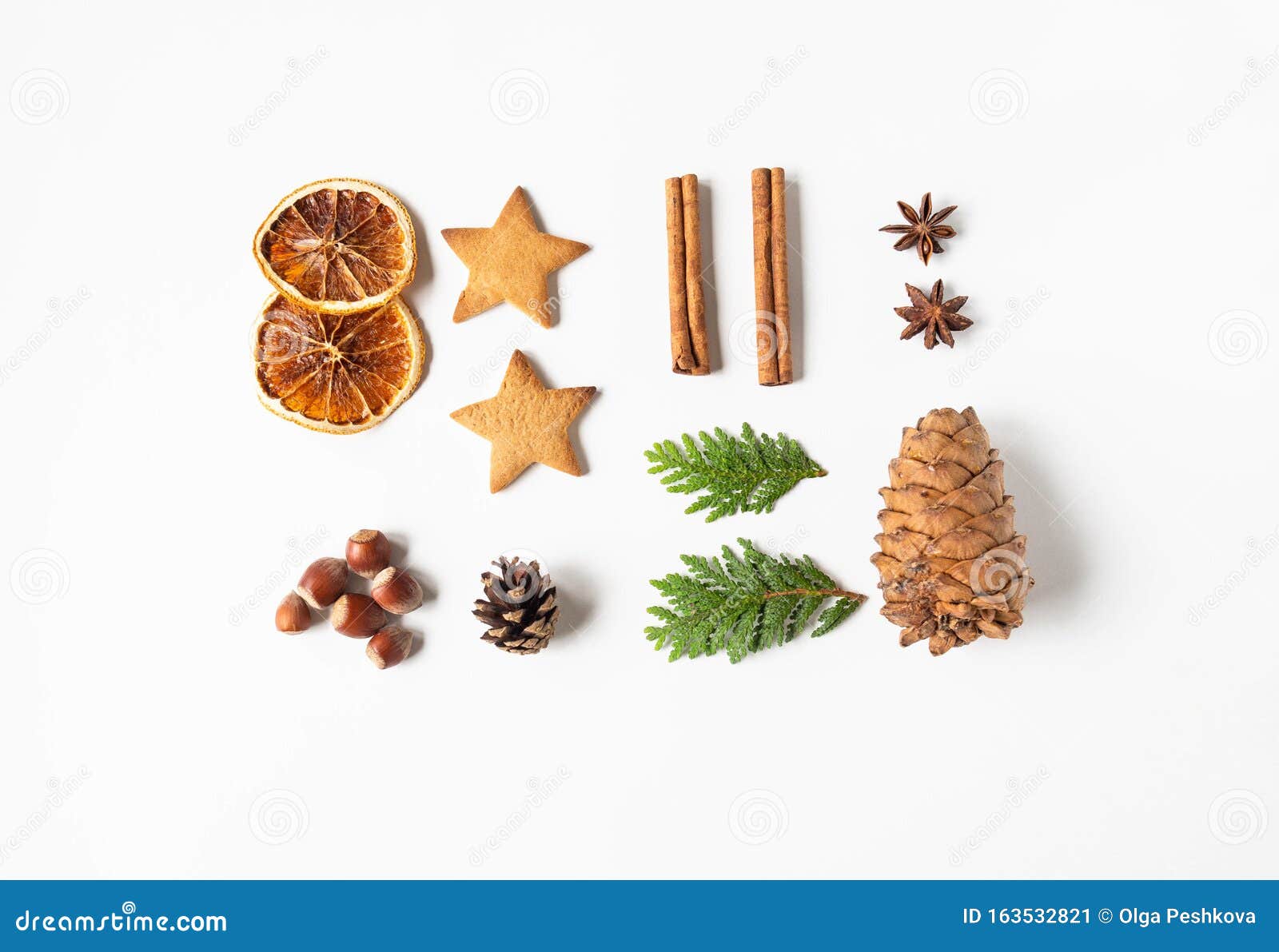 Stella Di Natale Secca.866 Stella Di Natale Secca Foto Foto Stock Gratis E Royalty Free Da Dreamstime