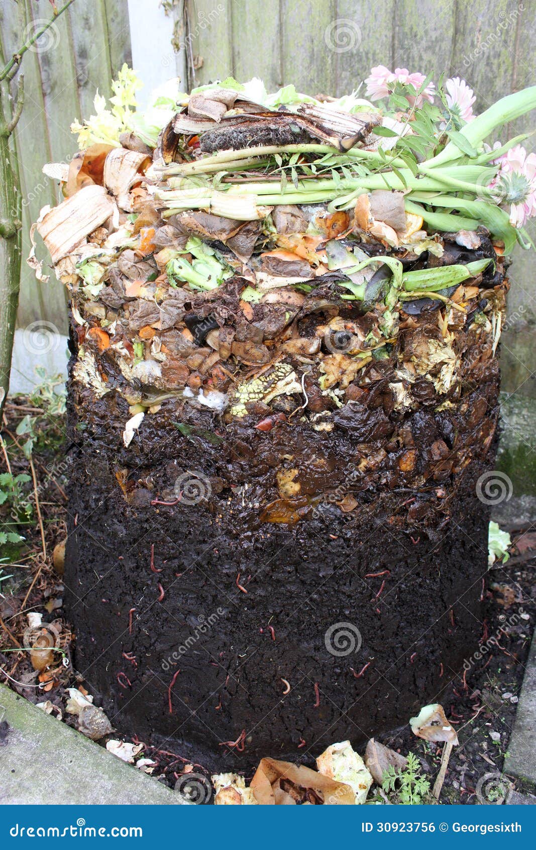 Compost Bin With Cover Removed Showing Contents Stock 