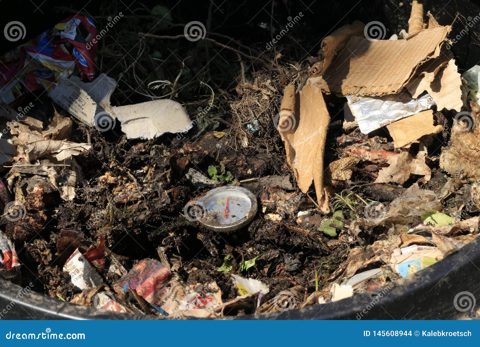 Compost Bin with Food Scraps and Grass Cuttings Stock Photo Image of