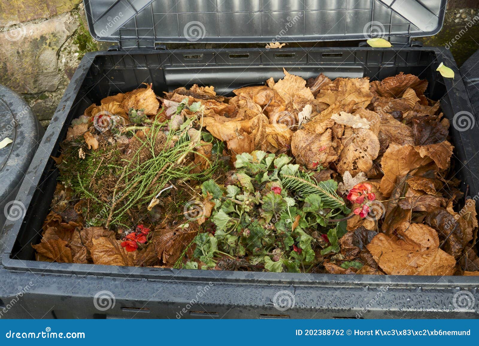 Compost Bin with Food Scraps and Grass Cuttings Stock Photo Image of