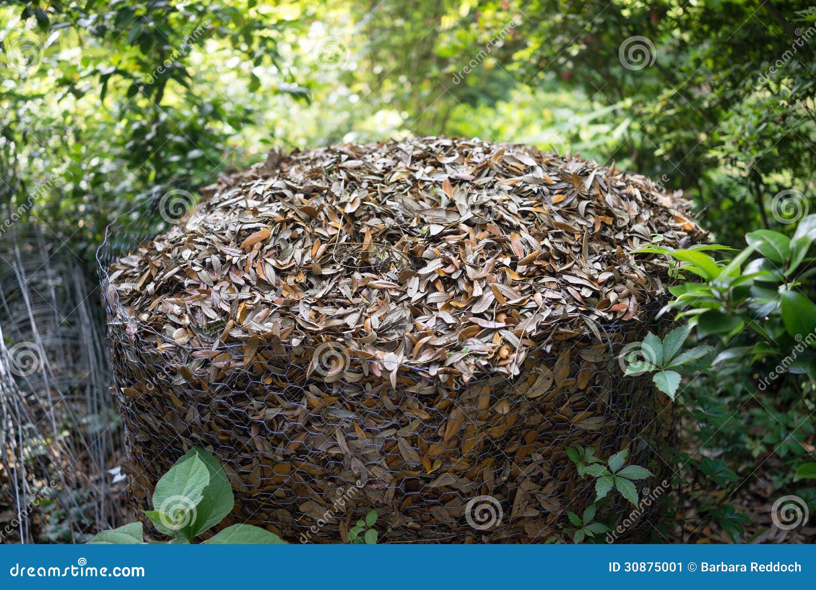 Compost Heap In Chicken Wire Enclosure Stock Image - Image ...
