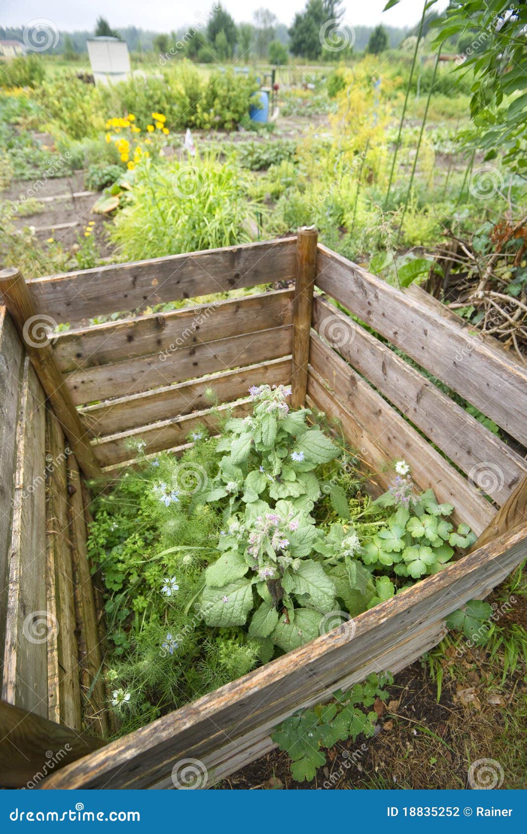 Compost Pile stock photo. Image of pile, rubbish, compost 18835252