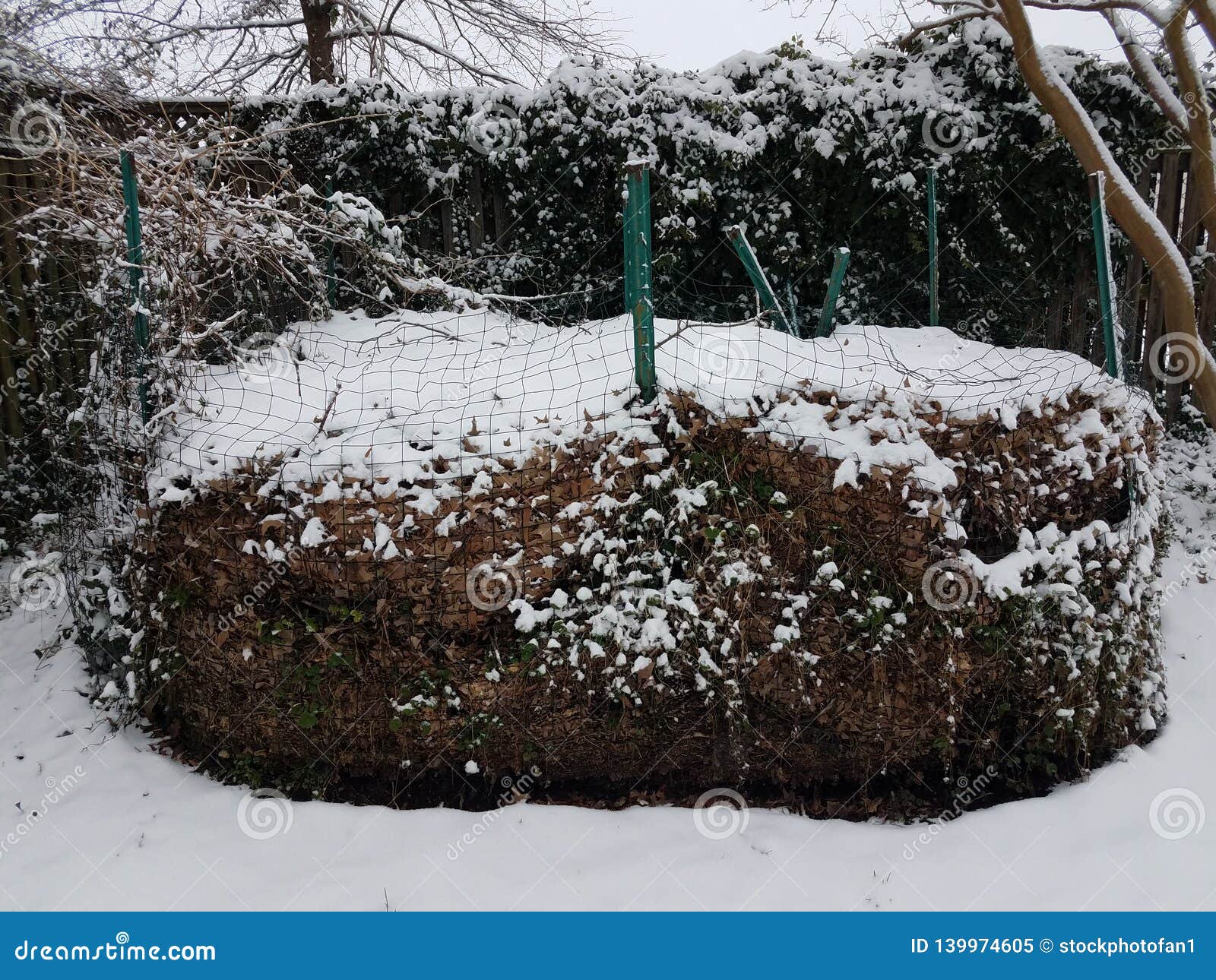 Compost Pile with Debris and Leaves and Snow Stock Image Image of