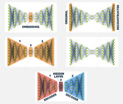 Comprehensive Autoencoder Neural Network Guide Encoding To Decoding ...