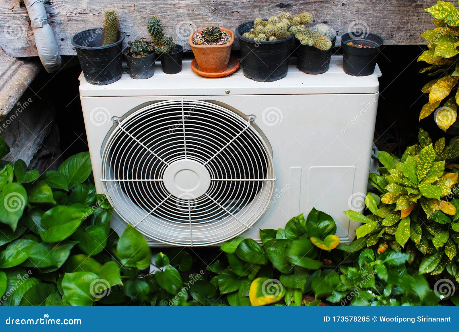 A Compressor of Air Conditioner Surrounded by Beautiful Plants Stock