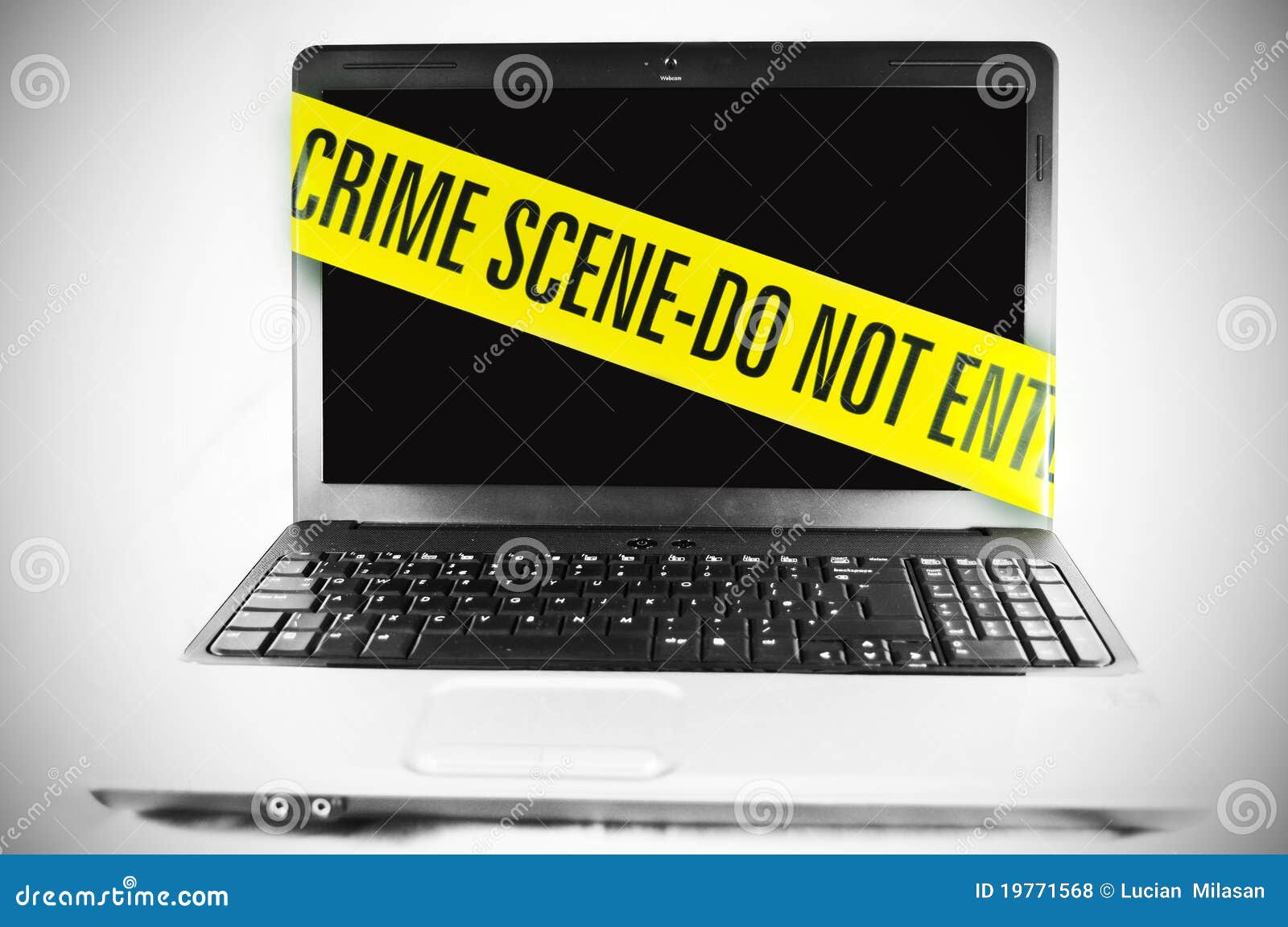 computer crime