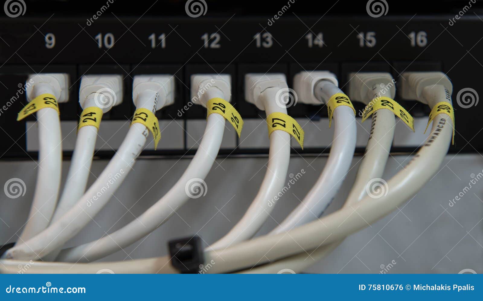 Computer Data Lan Cables in a Row. Stock Photo Image of cord