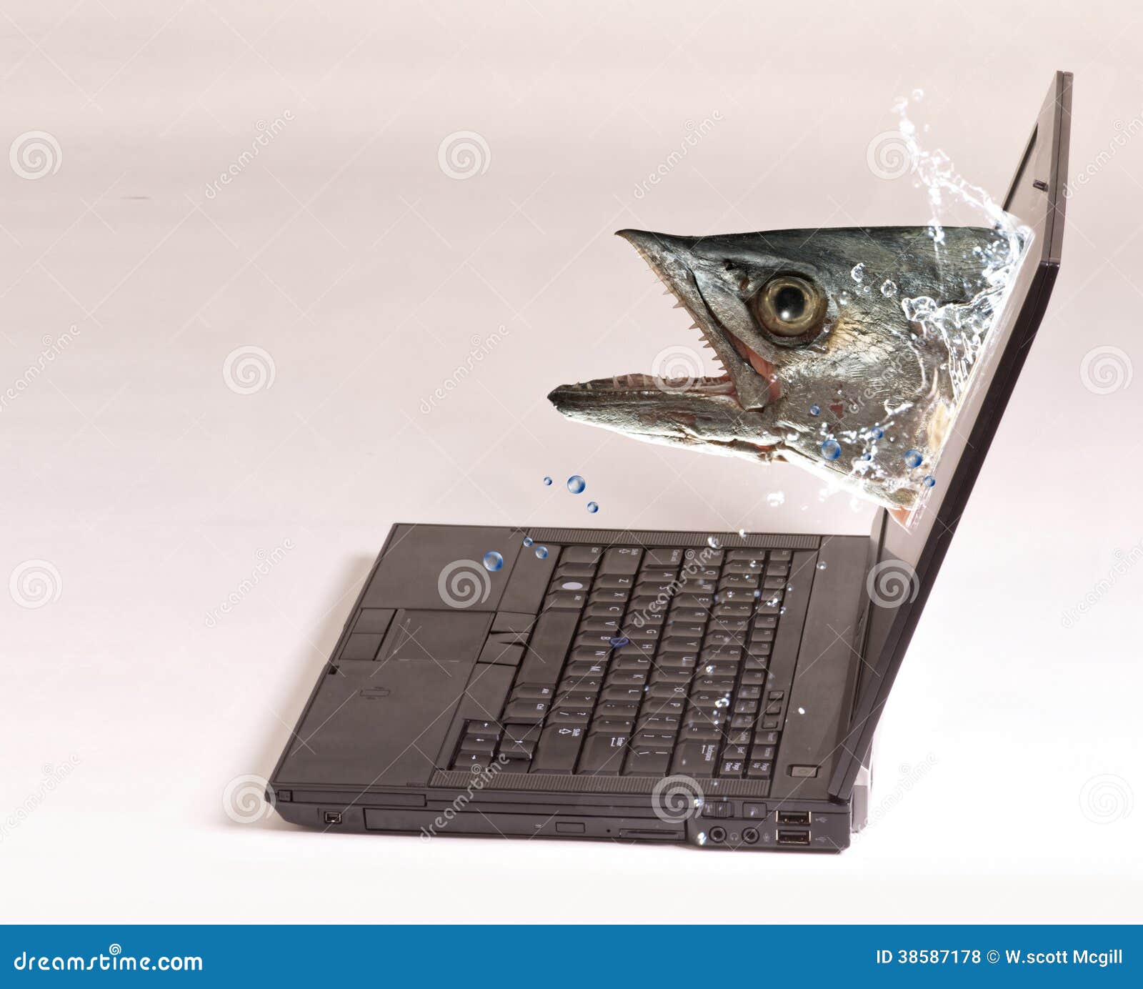 Computer Fishing. stock photo. Image of flow, laptop - 38587178