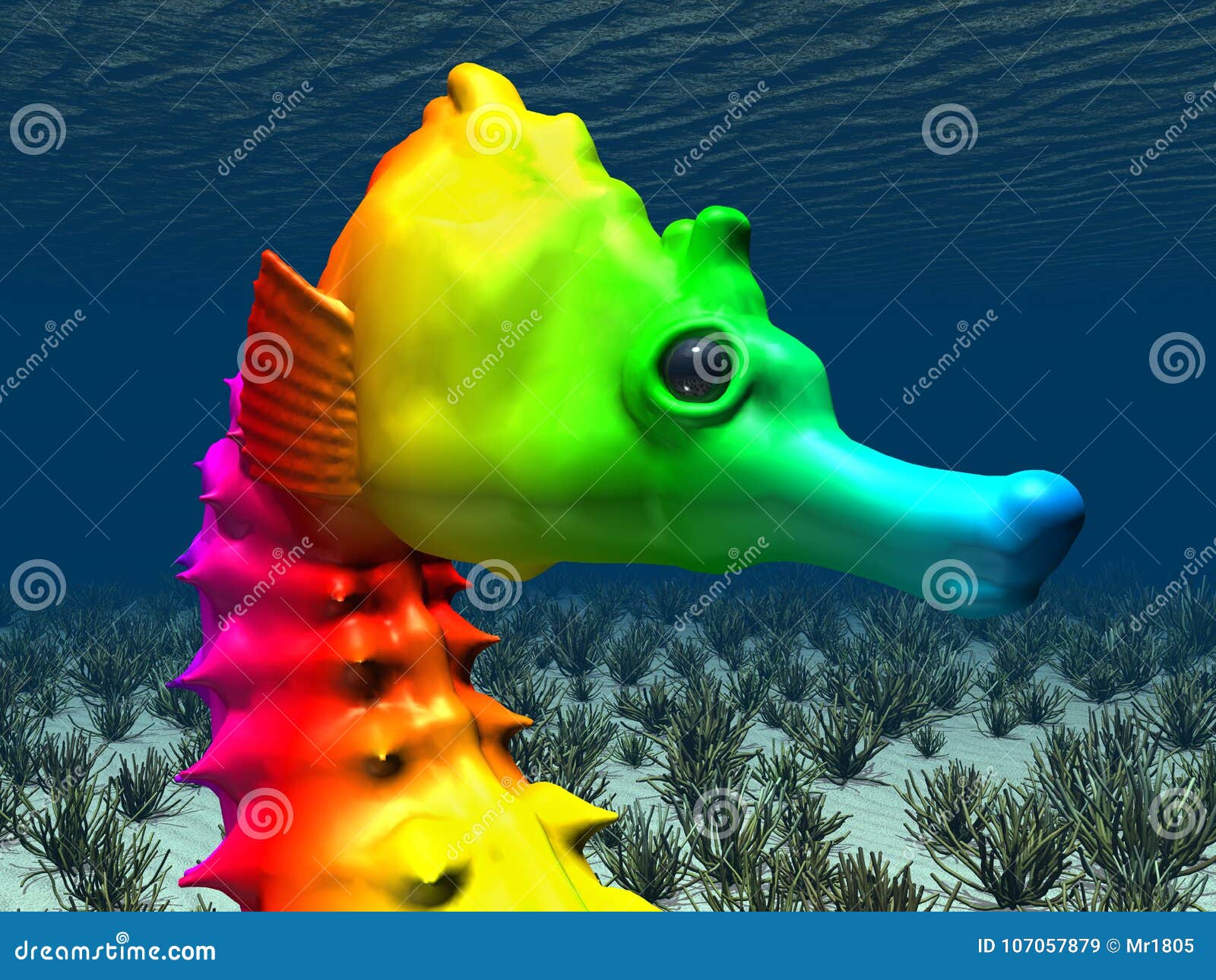 seahorse colorful