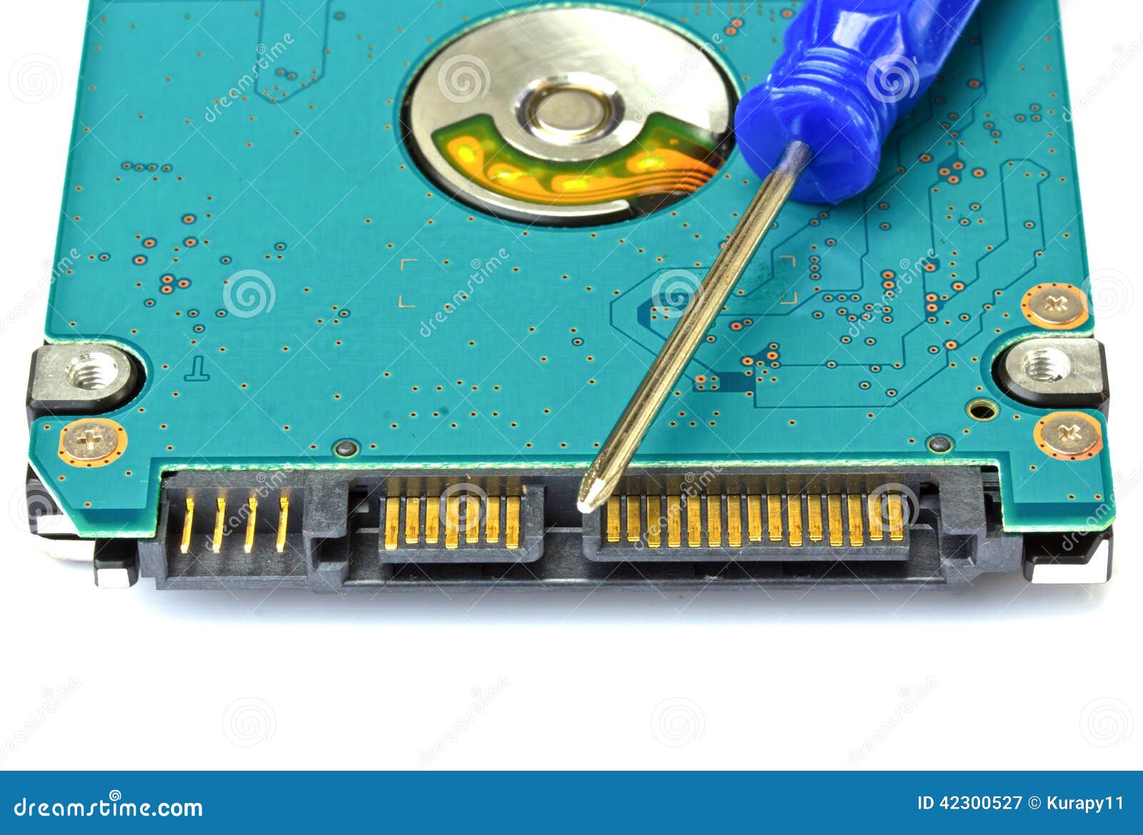 Computer Hard Disk Drive with a Screwdriver Stock Image Image of