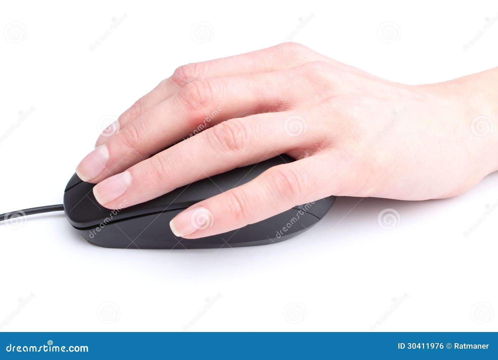 Computer Mouse in Hand on White Background Stock Photo Image of