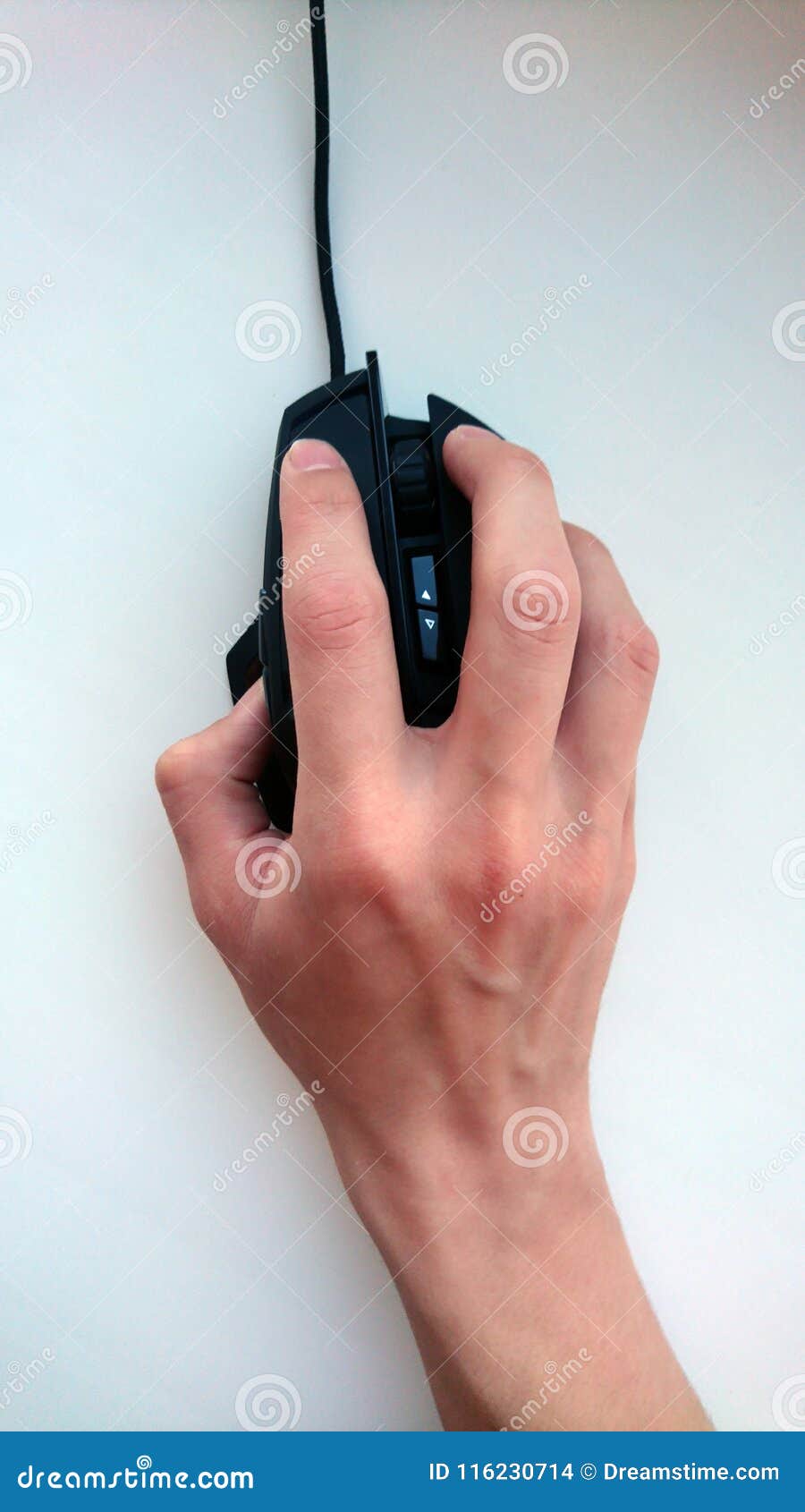 Computer Mouse In Hand On A White Background Stock Photo Image of