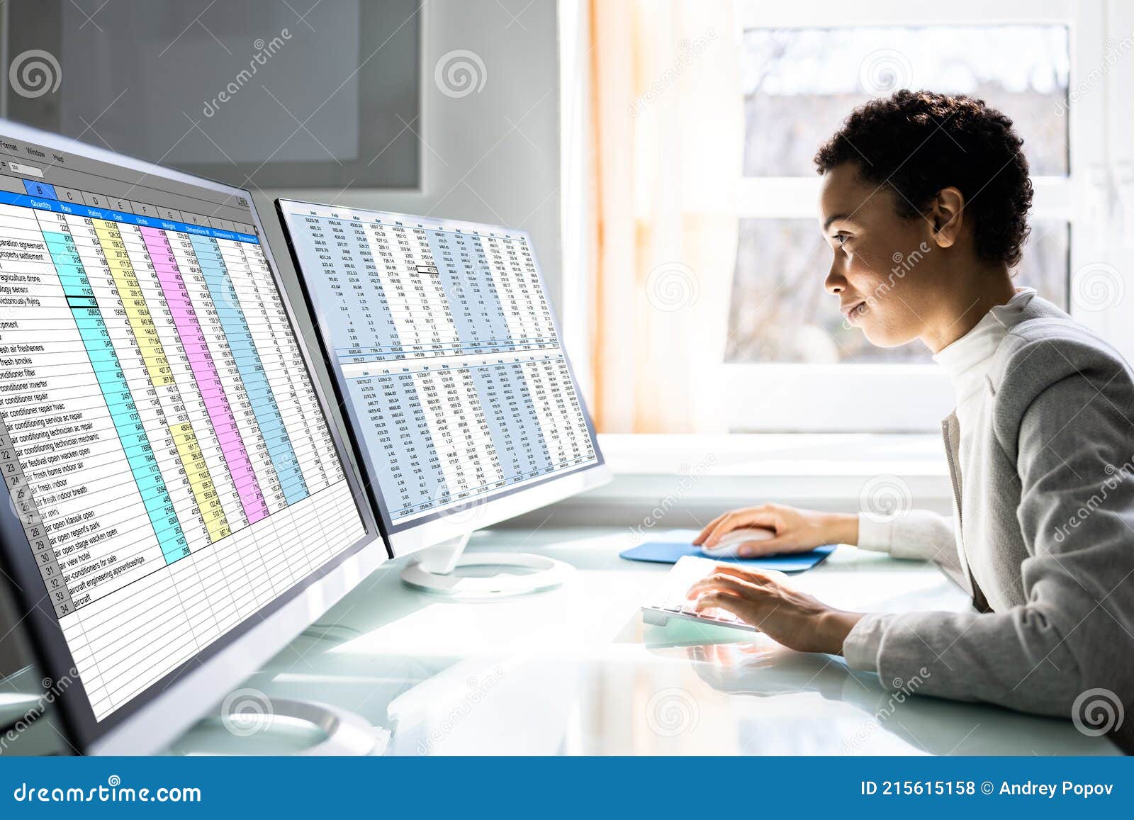 computer spreadsheet data analyst woman