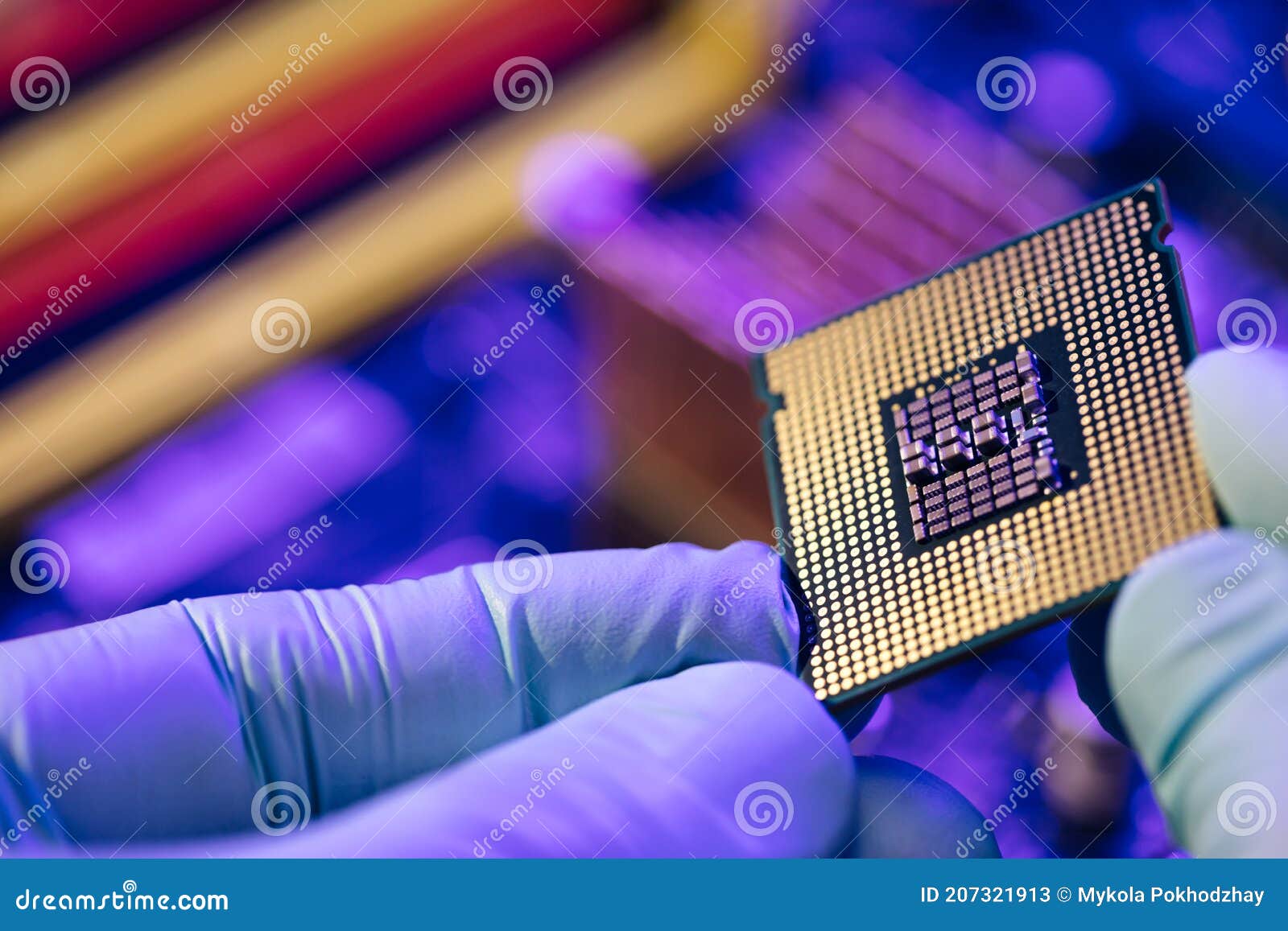 Computer Support Engineer Installing Processor. Microprocessor with