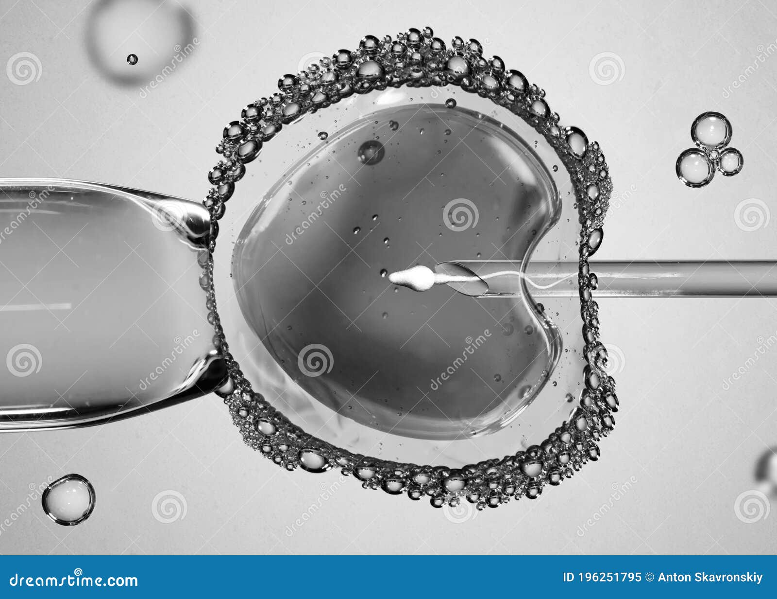 concept of artificial insemination or fertility treatment. image