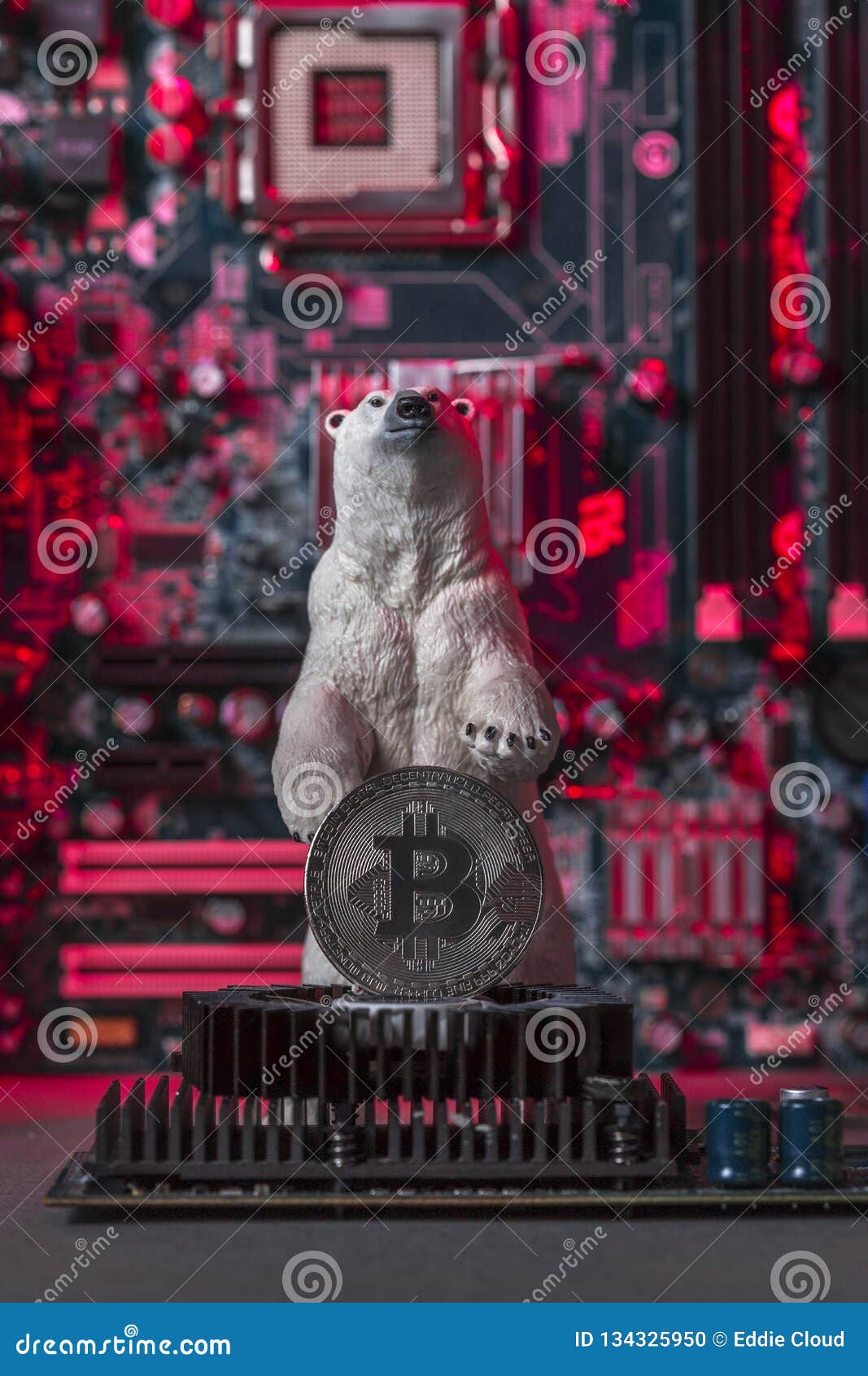 what is the bear market in crypto
